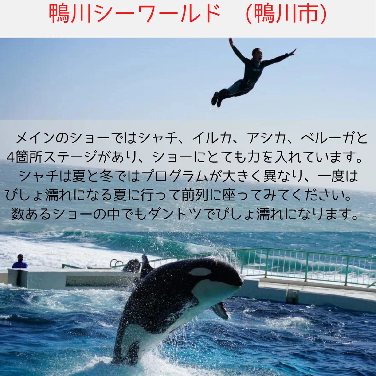 鴨川シーワールドホテル Lemon8
