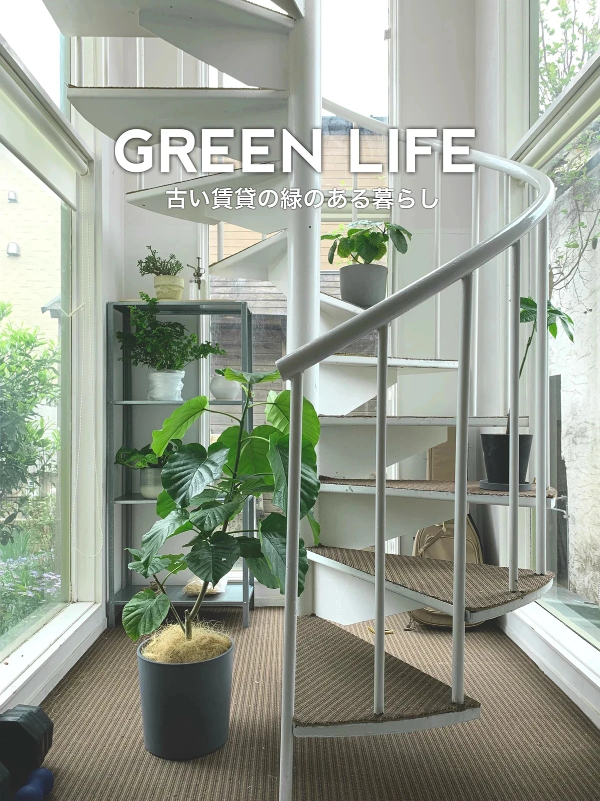 古い賃貸 緑のある暮らし 育てやすい植物 こぴroom カフェと暮らしが投稿したフォトブック Lemon8