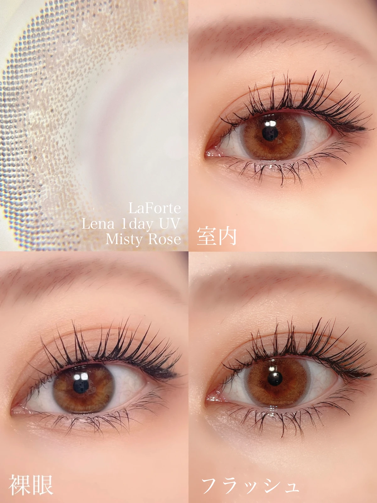 LaFORTE Lena 1day レナ -9.00 UV ワンデーUV ラフォルテ 30枚入 2箱 No.102 ミスティローズ 8.7