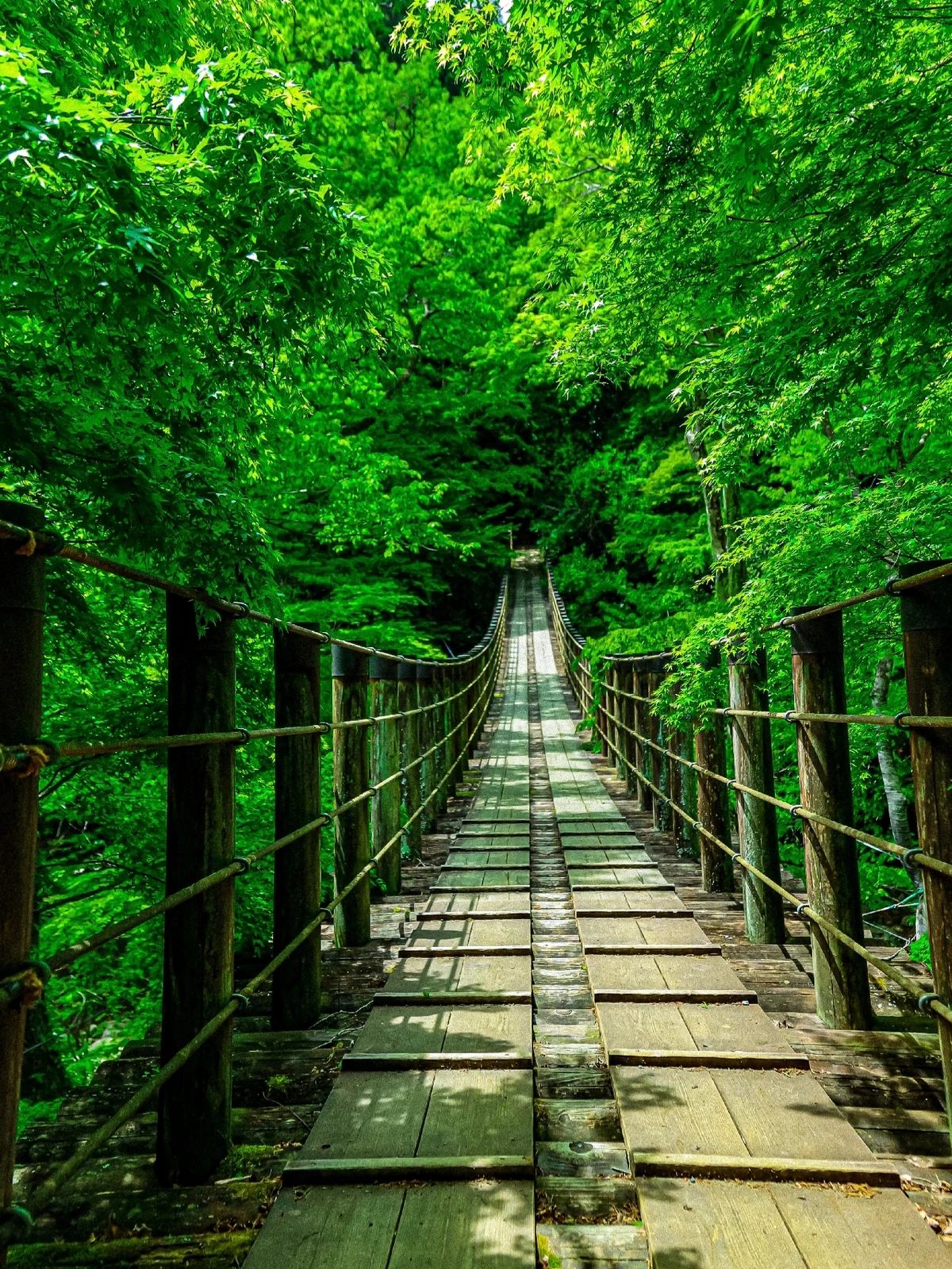 花貫渓谷 茨城県高萩市 Y1974が投稿したフォトブック Lemon8