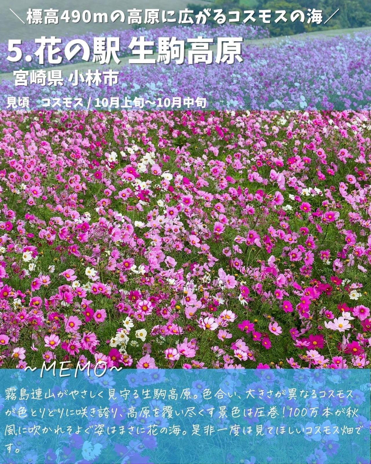 絶対行きたい 絶景コスモス畑 7選part1 日本の映え旅 絶景旅ナビが投稿したフォトブック Lemon8