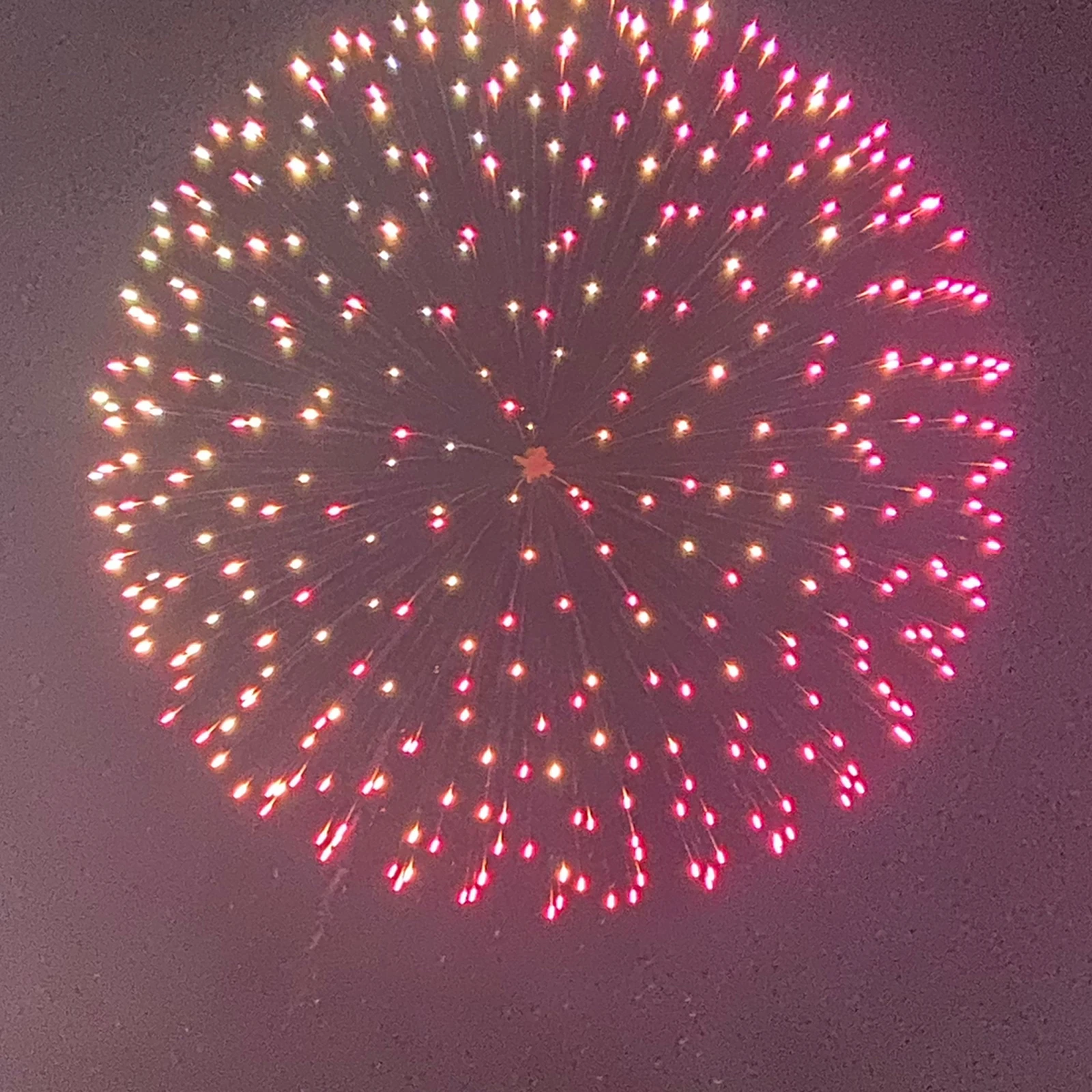 玉野市の花火大会へ K Leo0405が投稿したフォトブック Lemon8