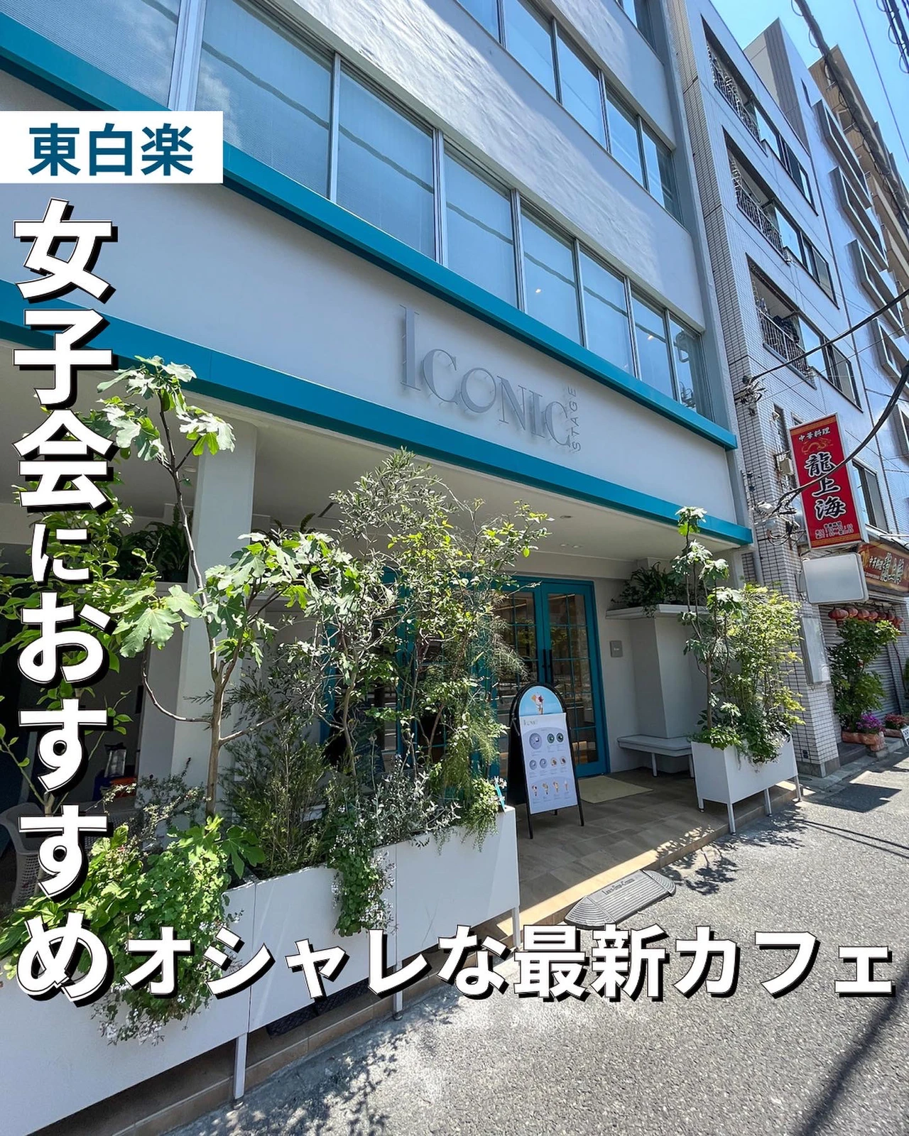 女子会におすすめ 東白楽の最初オシャレカフェ ゆき カフェ巡り 東京 神奈川が投稿したフォトブック Lemon8