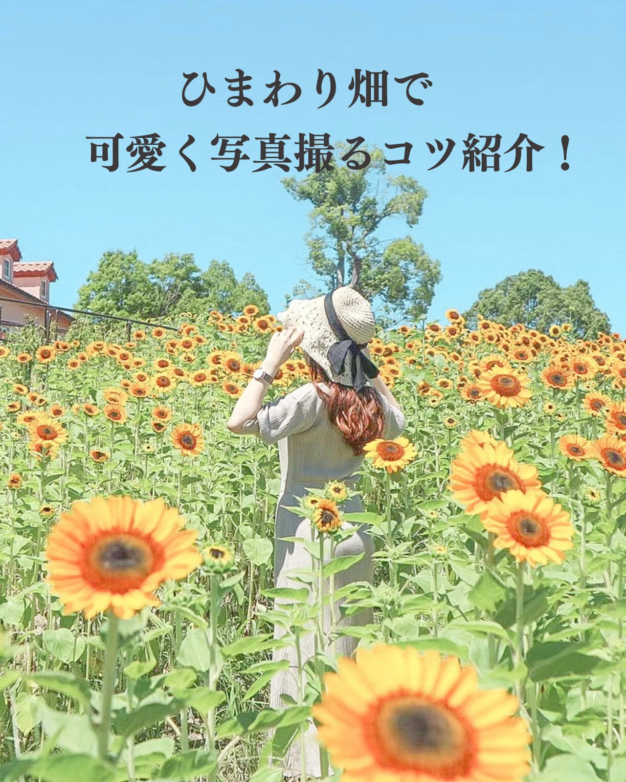 ひまわり畑で可愛く写真を撮るコツ きゃな お洒落旅が投稿したフォトブック Lemon8 ひまわり畑で可愛く写真を撮るコツ きゃな お洒落旅が投稿したフォトブック Lemon8