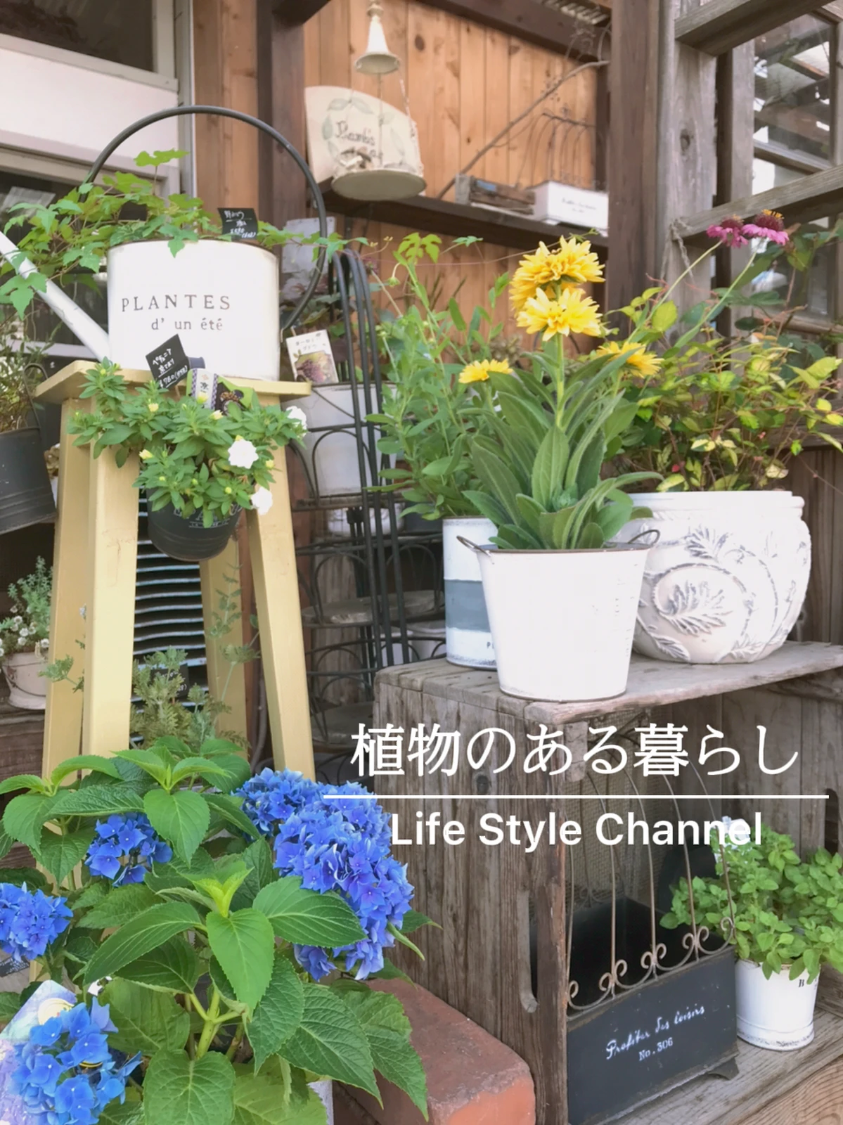 植物が好きな人にオススメ 花屋とカフェが一緒に楽しめる Sachikoが投稿したフォトブック Lemon8
