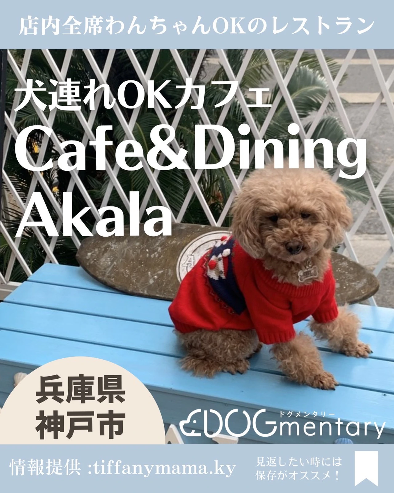 兵庫県神戸市 犬連れokカフェ Cafe Dining Akala Dogmentaryが投稿したフォトブック Lemon8
