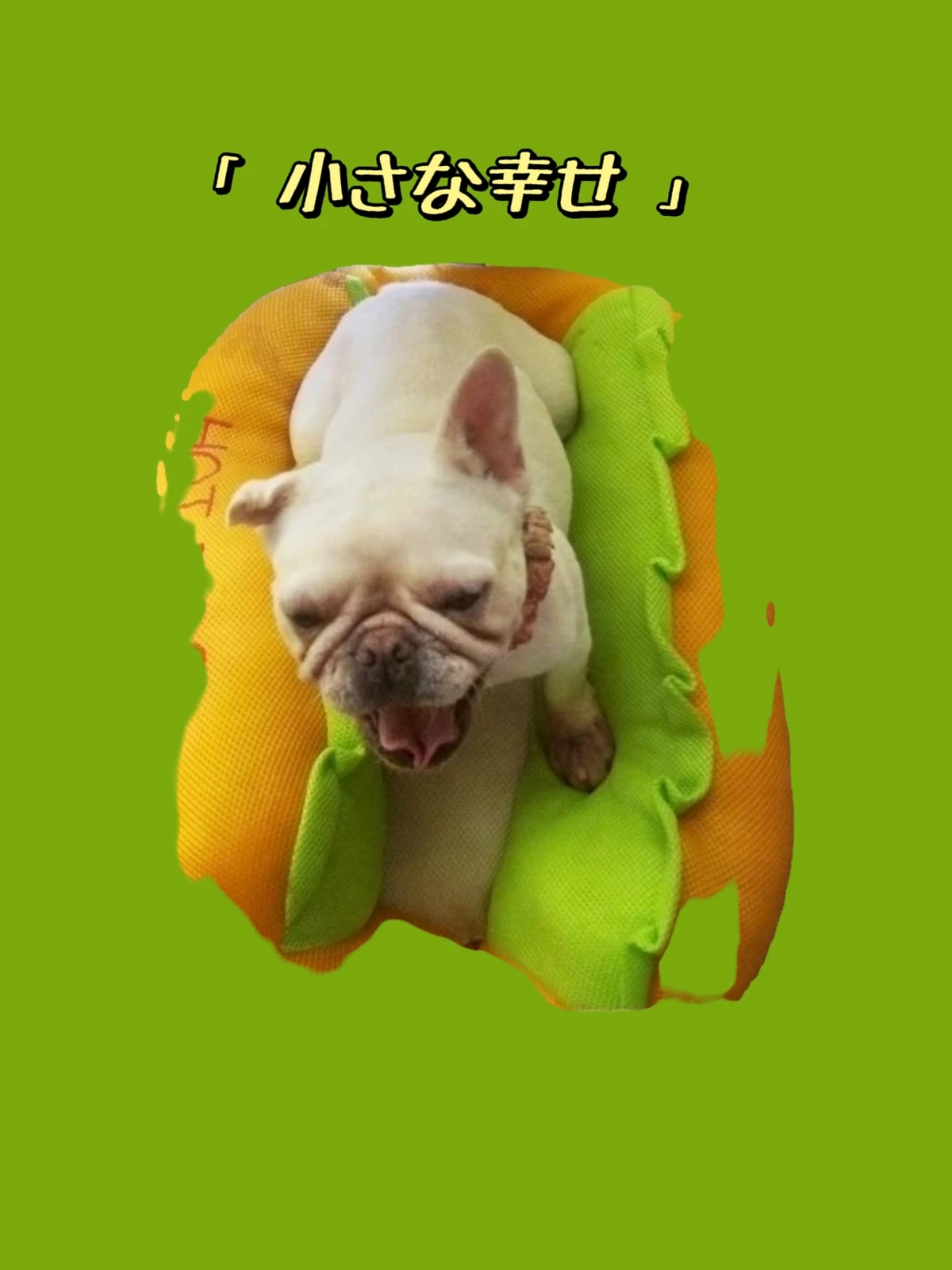 ふわり フレブル あくびが止まらないバフッ みずき7436が投稿したフォトブック Lemon8 ふわり フレブル あくびが止まらないバフッ みずき7436が投稿したフォトブック Lemon8