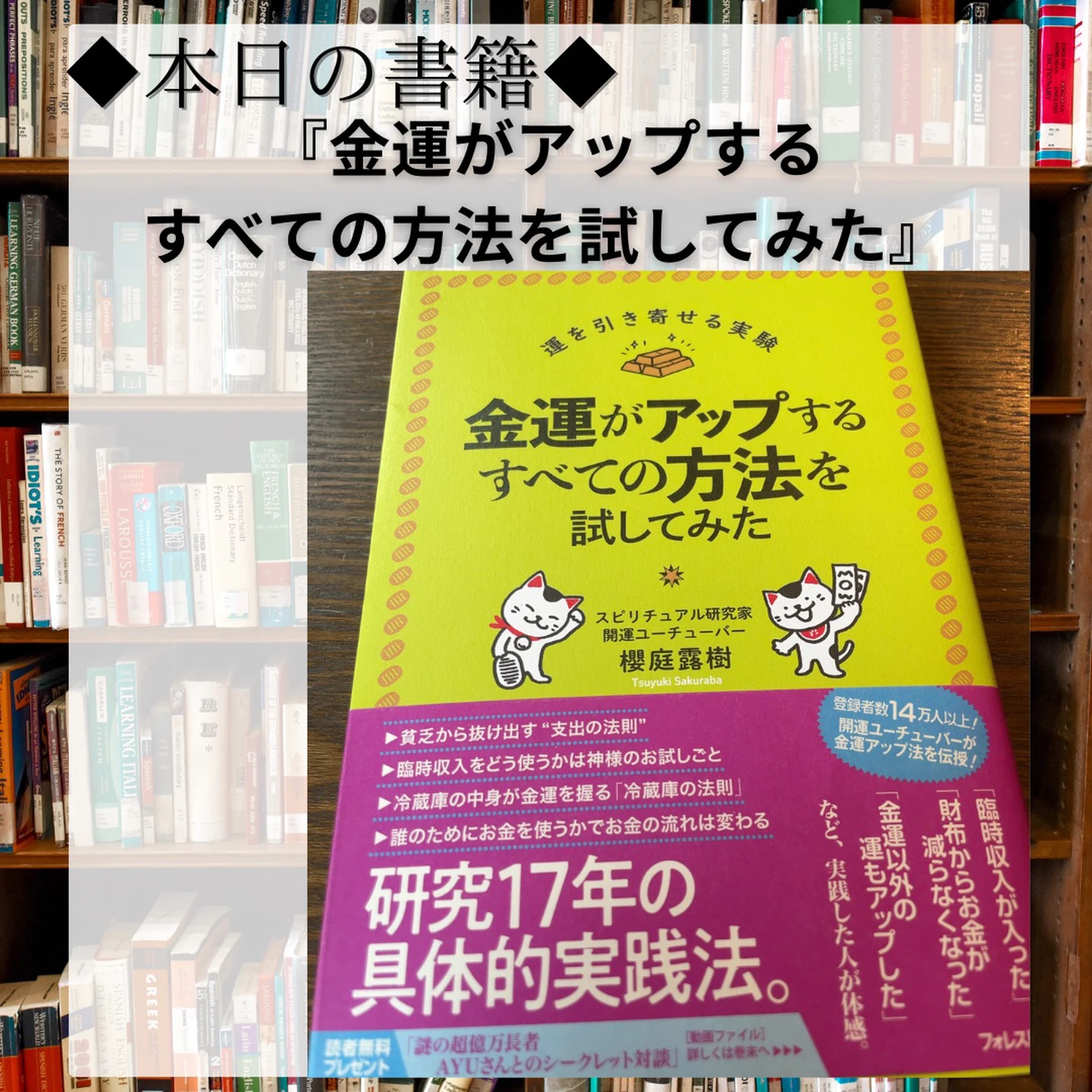 冬バーゲン☆特別送料無料！】 金運がアップするすべての方法を試して