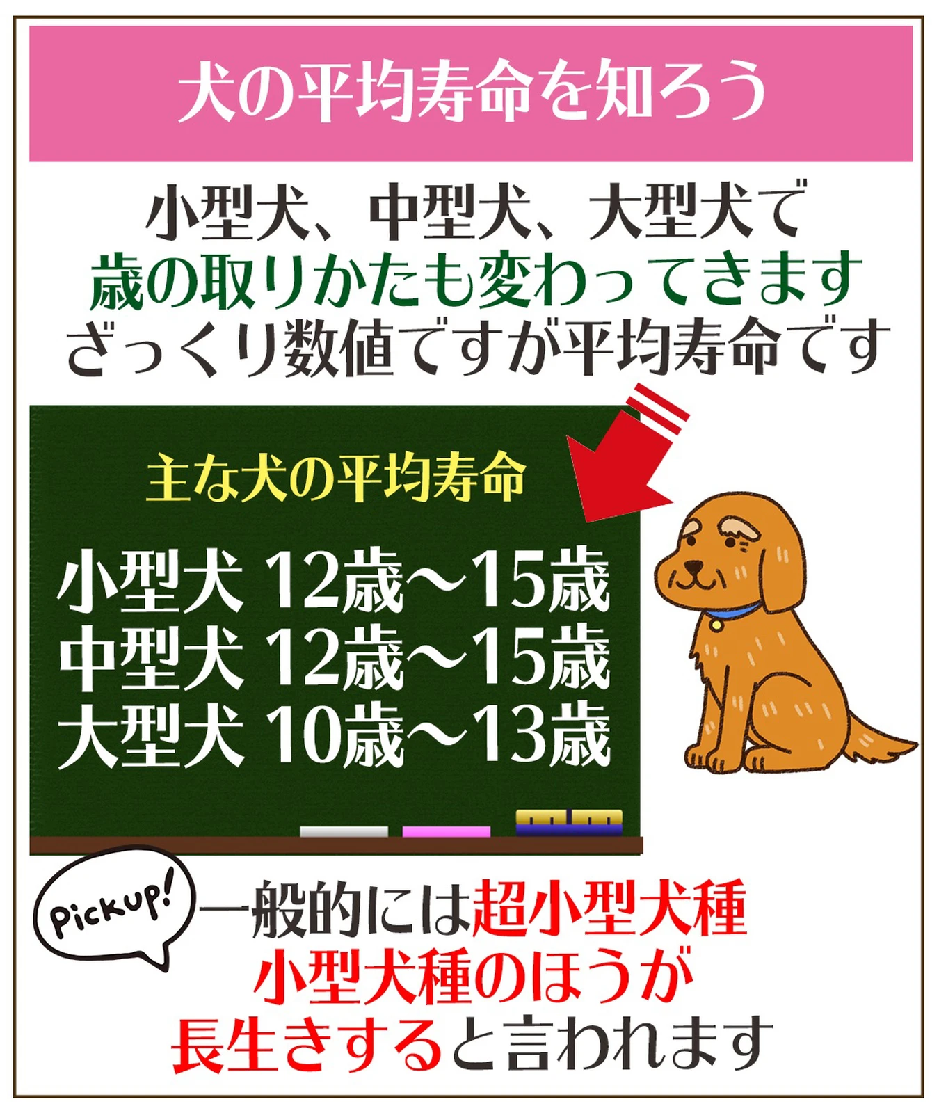 犬の平均寿命とギネス最高長寿犬 犬ラブメディア部が投稿したフォトブック Lemon8 犬の平均寿命とギネス最高長寿犬 犬ラブメディア部が投稿したフォトブック Lemon8