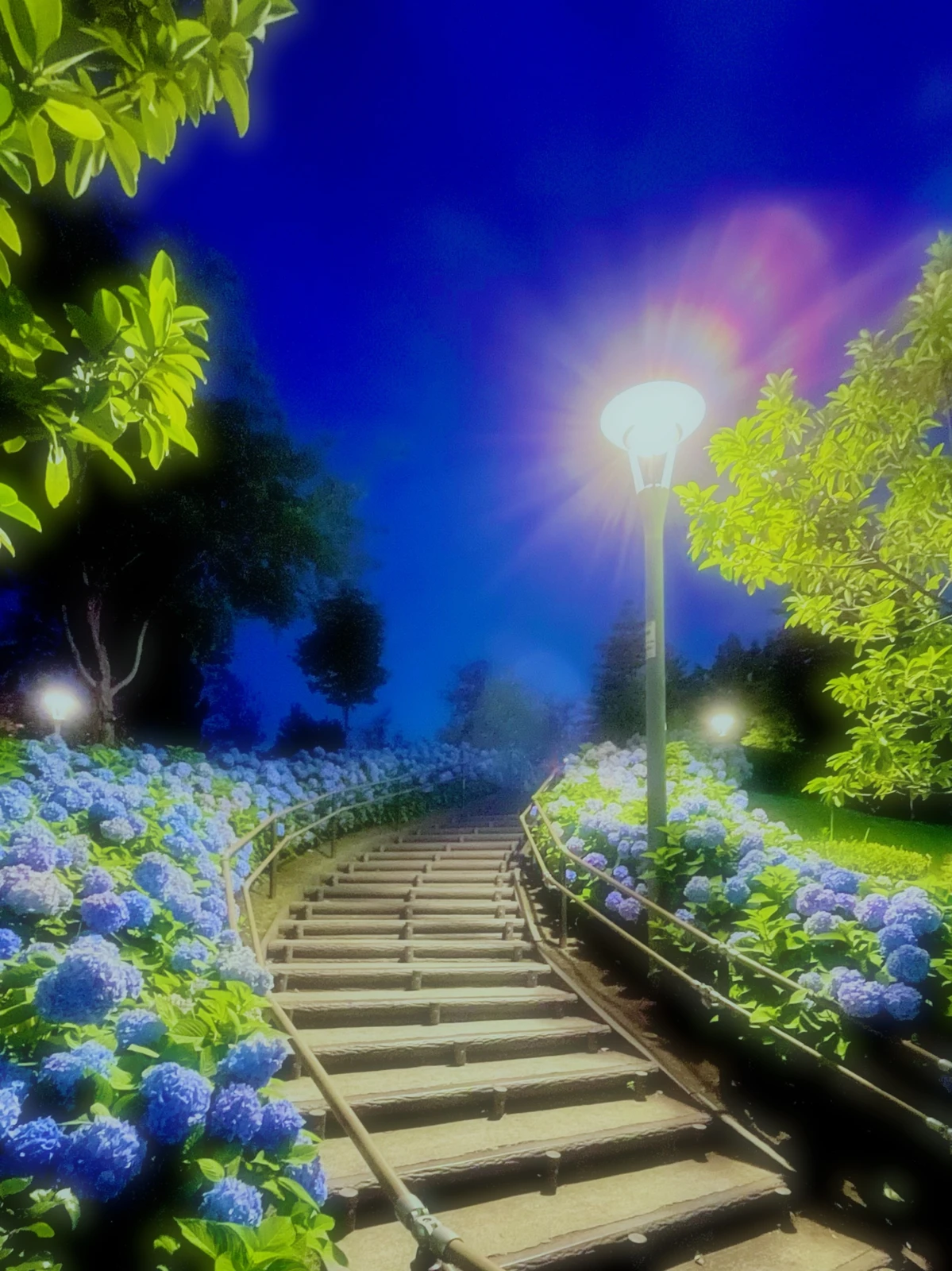 お台場の紫陽花は夜がお勧め ひまわり が投稿したフォトブック Lemon8