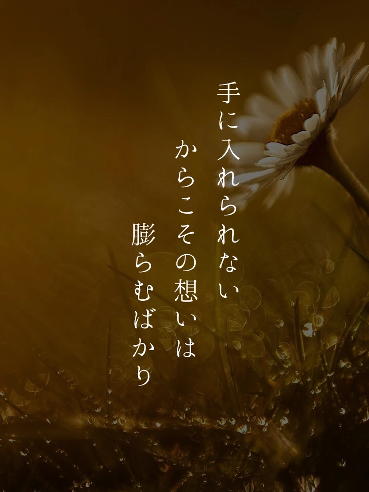 恋愛ポエム もどかしい恋 が投稿したフォトブック Lemon8