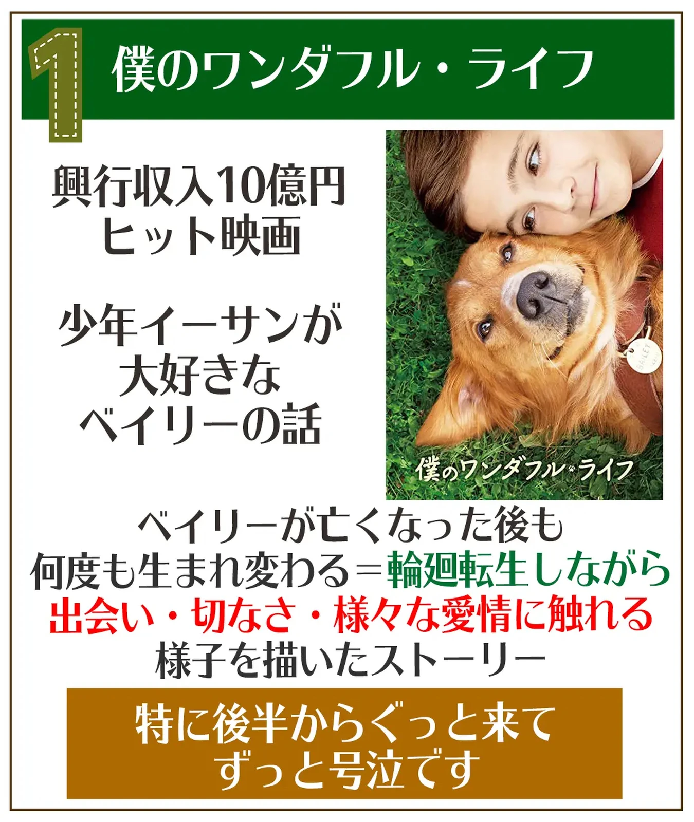 愛犬関係の泣ける動画7選まとめ 犬ラブメディア部が投稿したフォトブック Lemon8 愛犬関係の泣ける動画7選まとめ 犬ラブメディア部が投稿したフォトブック Lemon8