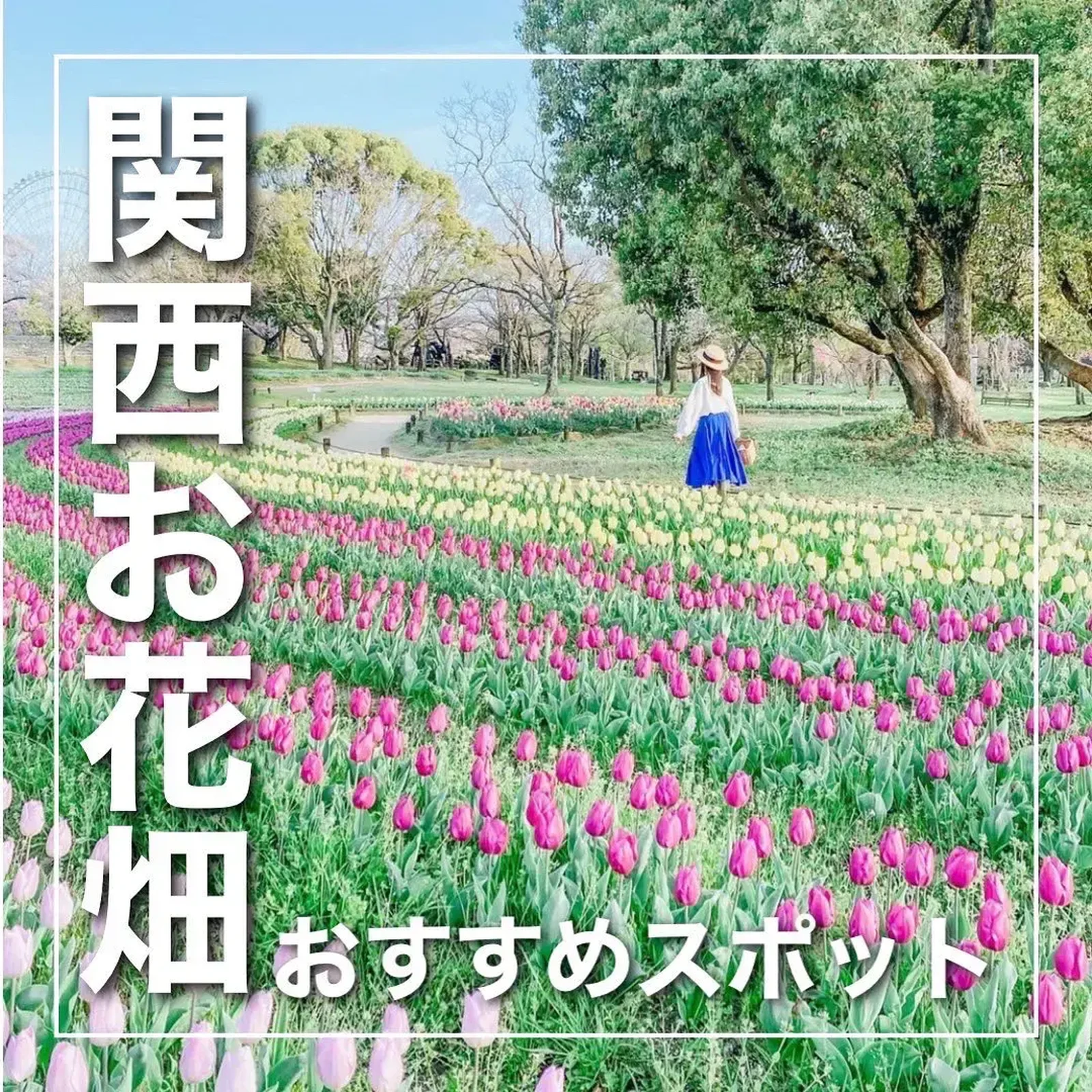 お花畑を関西で見に行くならココしかない 旅とこ 関西の旅行ならおまかせが投稿したフォトブック Lemon8