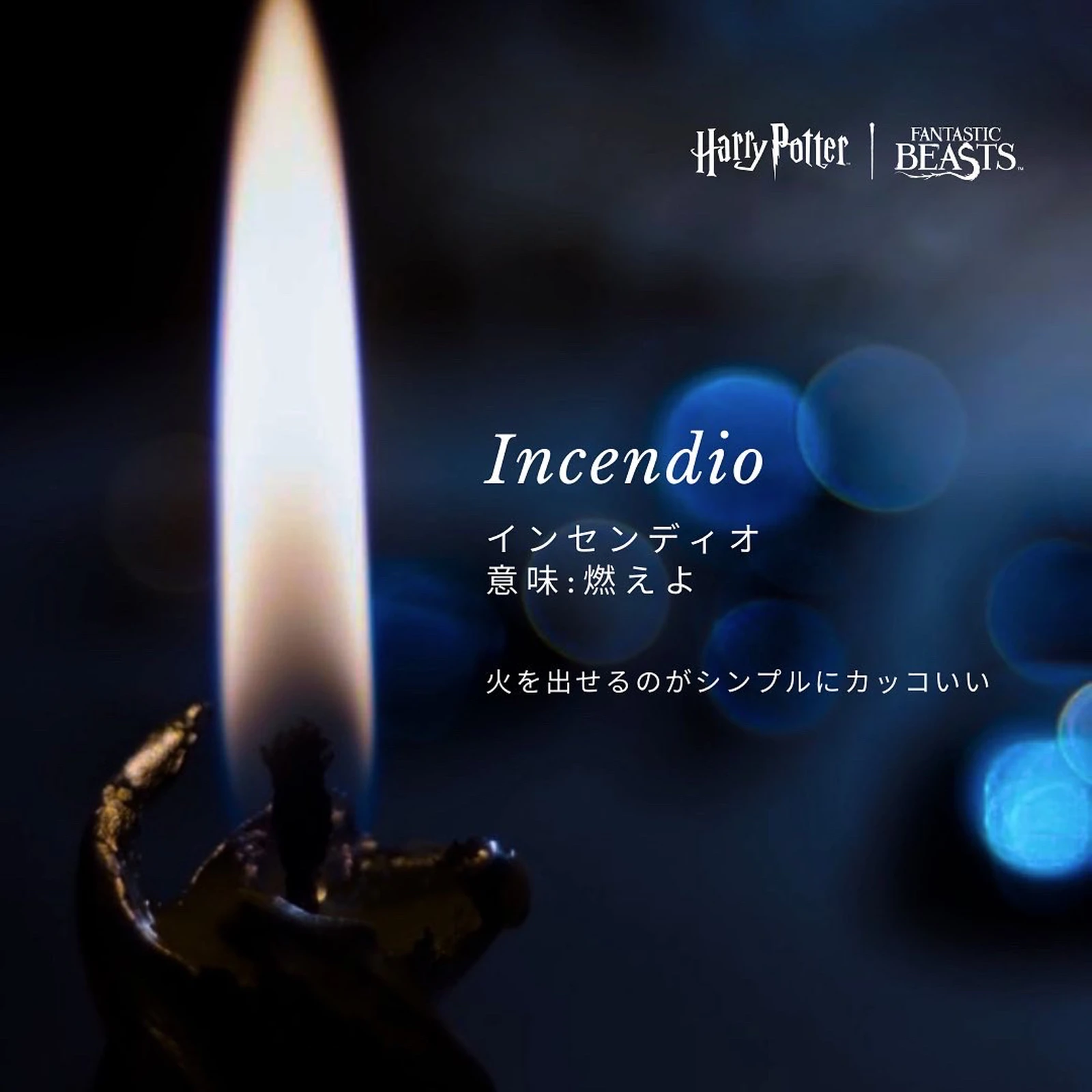 日常生活で使いたい魔法 ハリーポッター 07room が投稿したフォトブック Lemon8