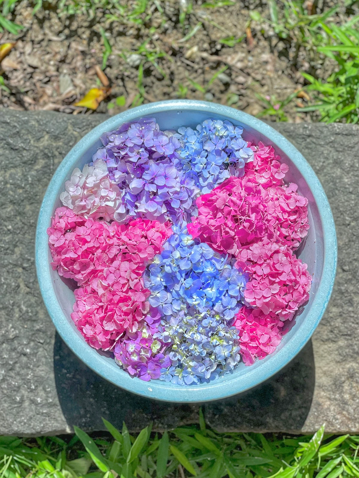 奈良 般若寺の紫陽花ガラスボール Akaneが投稿したフォトブック Lemon8