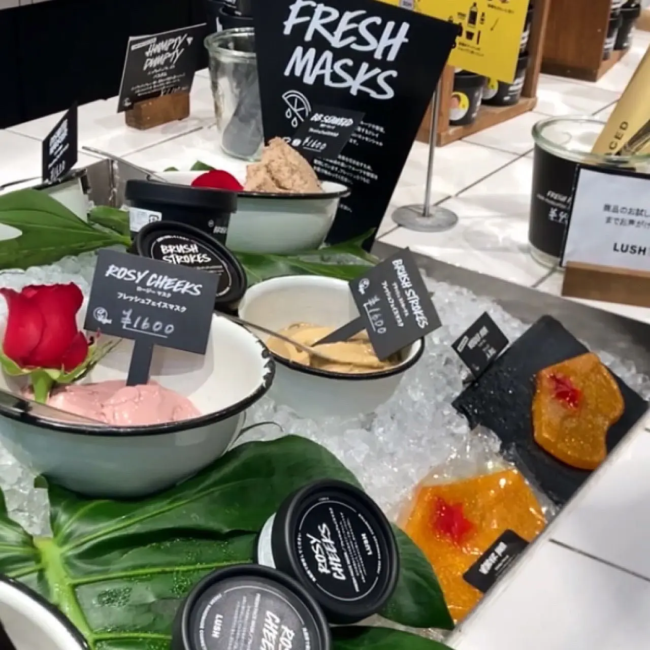 Lushフレッシュフェイスマスク グレンショコラ 梅ちゃんが投稿したフォトブック Lemon8 Lushフレッシュフェイスマスク グレンショコラ 梅ちゃんが投稿したフォトブック Lemon8
