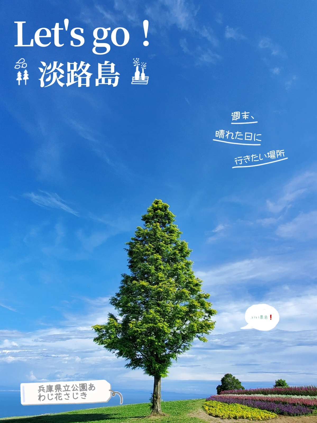 夏の景色 つねたろうが投稿したフォトブック Lemon8