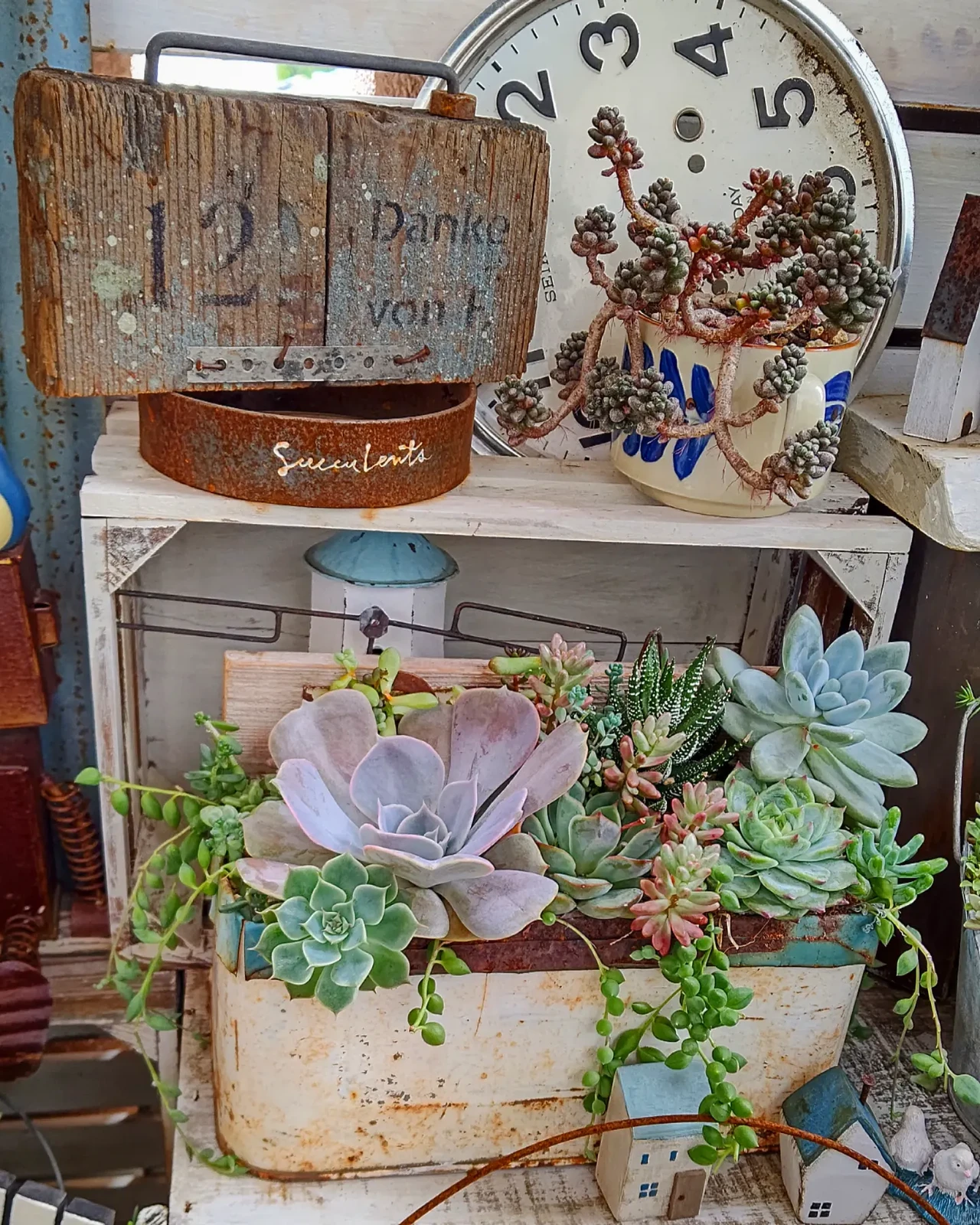 多肉植物ガーデン Kanananaが投稿したフォトブック Lemon8