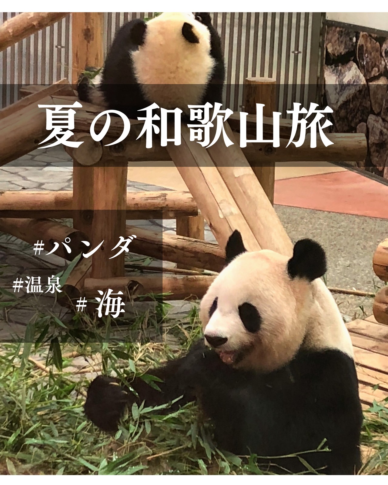 Lemon8 Story 和歌山 海鮮