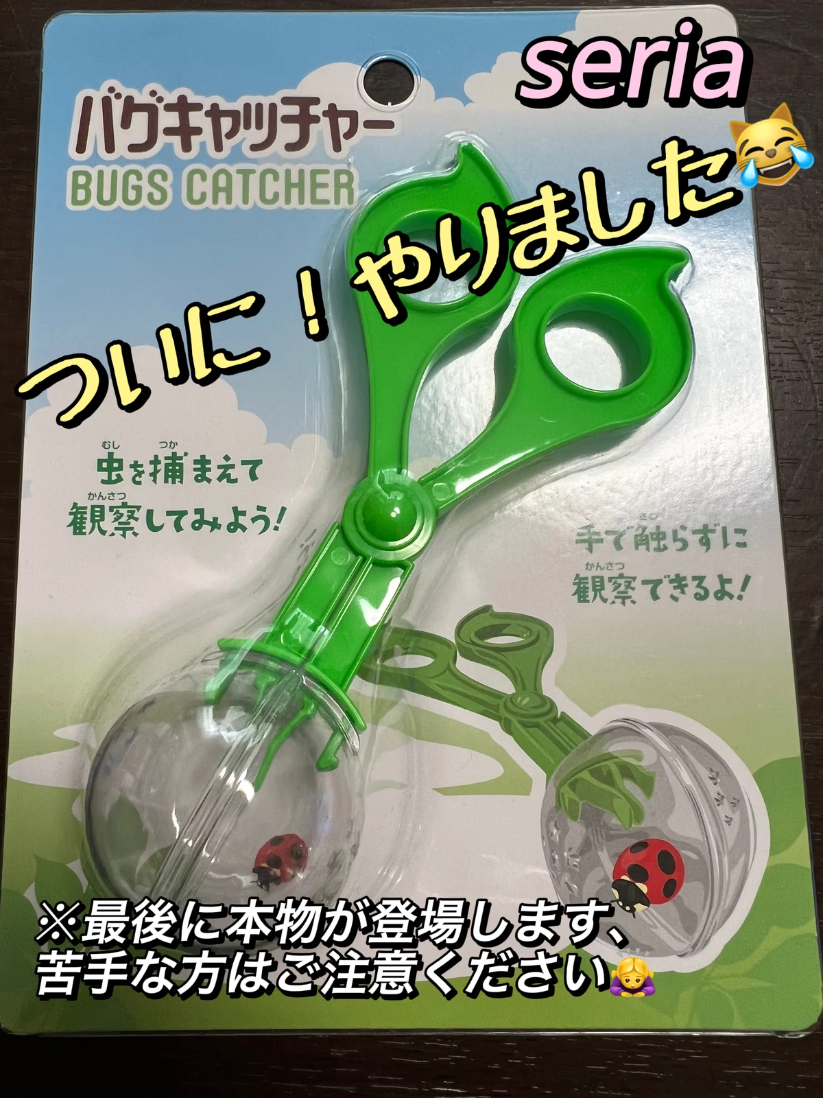 ついに出番がやってきたセリアのバグキャッチャー Kisuapoが投稿したフォトブック Lemon8