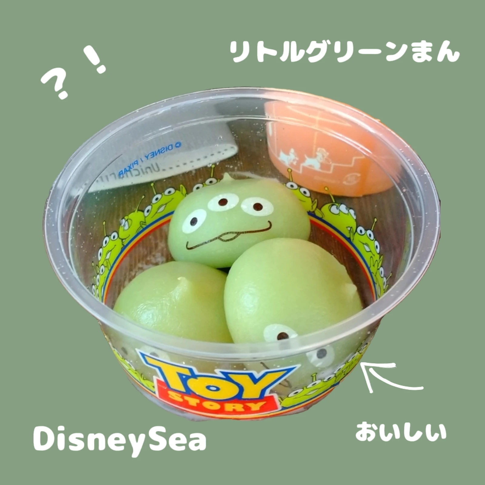 Disneysea リトルグリーンまんめちゃくちゃおいしかったし最高に楽しかった 匿名さんが投稿したフォトブック Lemon8