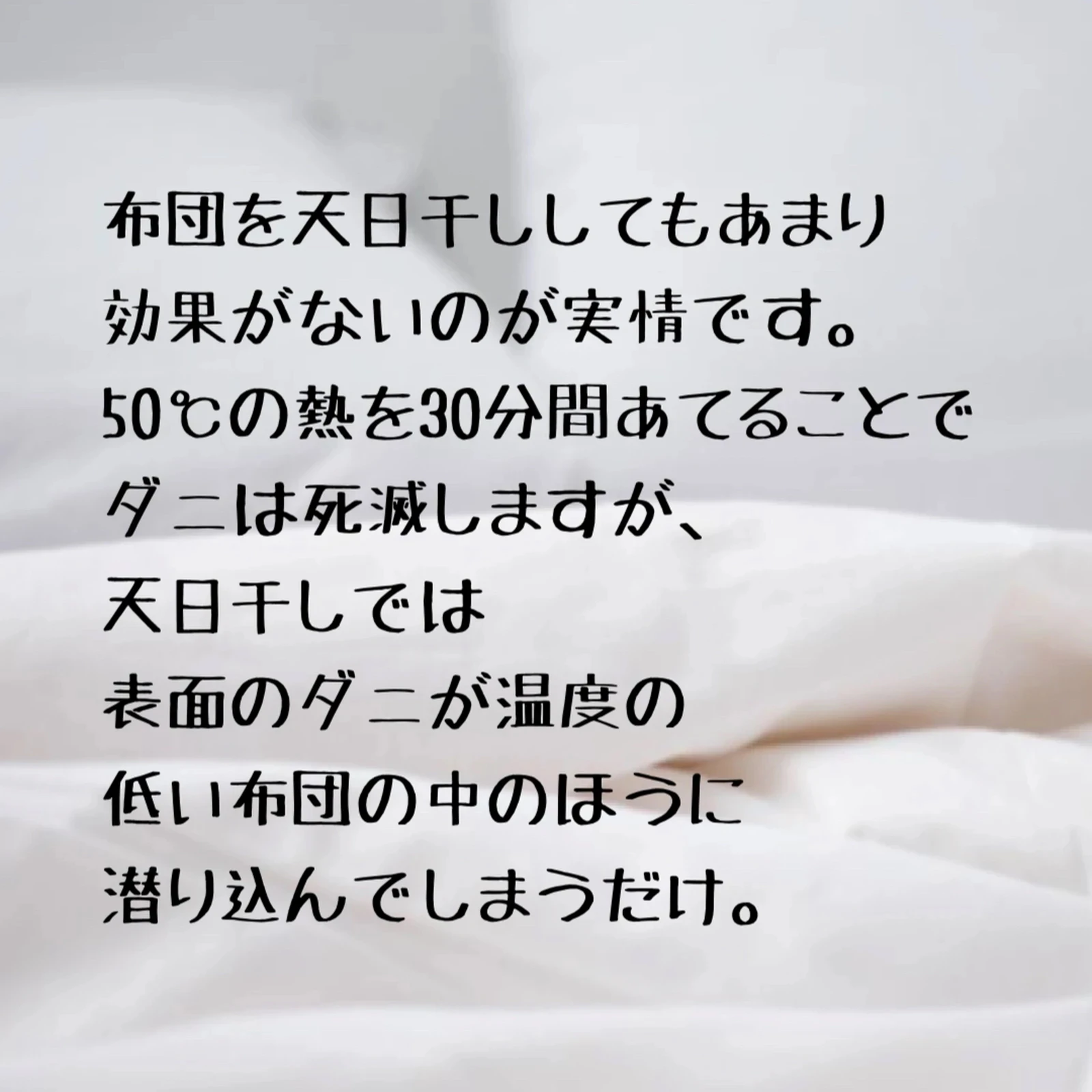 アース製薬 ダニがホイホイ ダニ捕りシート 3枚入 【限定販売】