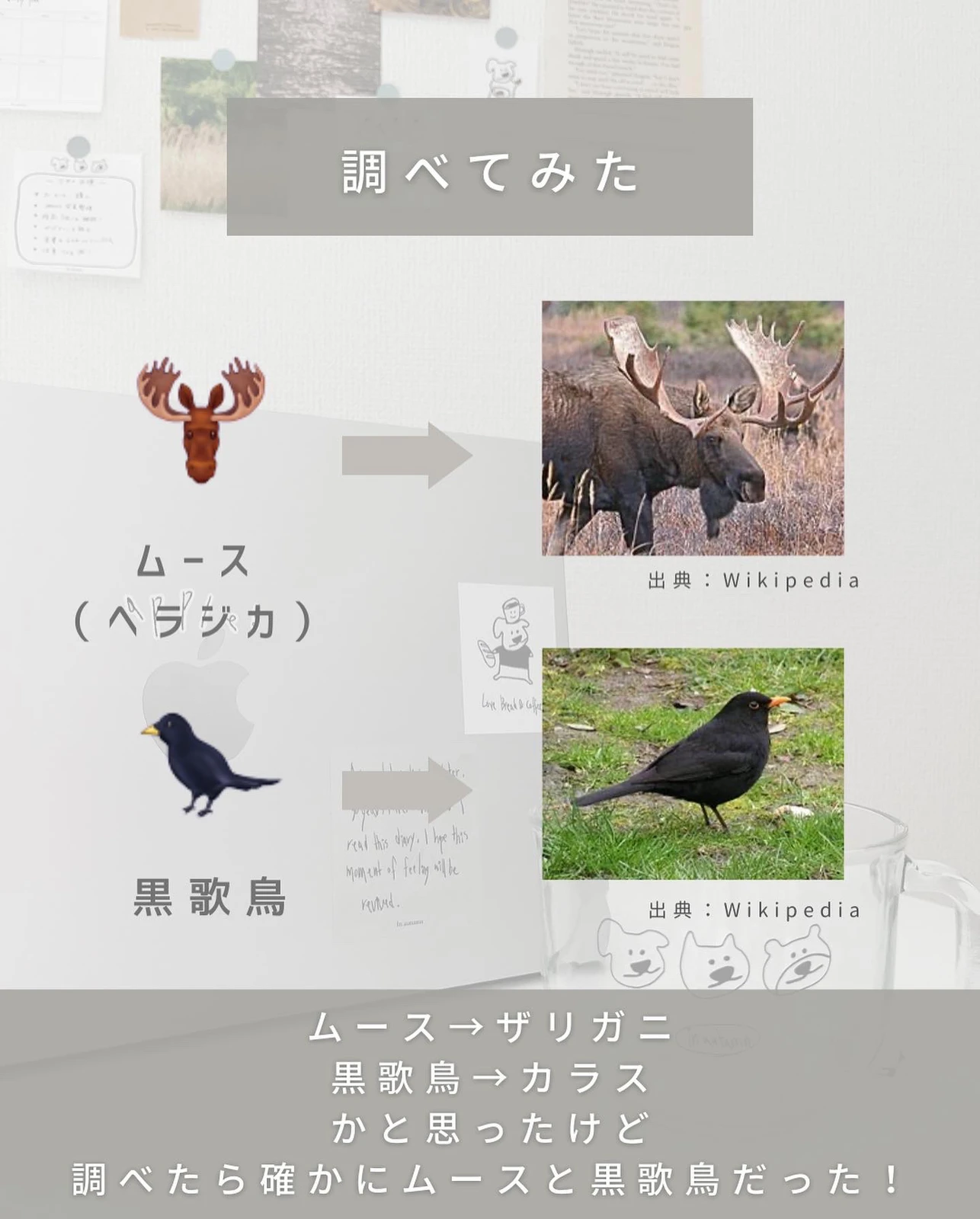 もうチェックした 最新版new絵文字 選 ひろなん ｱﾗｻｰ社会人ﾏﾏが投稿したフォトブック Lemon8
