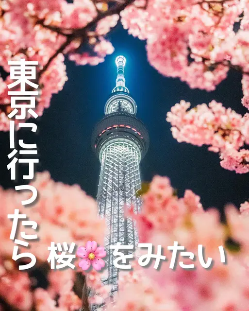 【東京】絶対に行くべき桜スポット５選🌸の画像