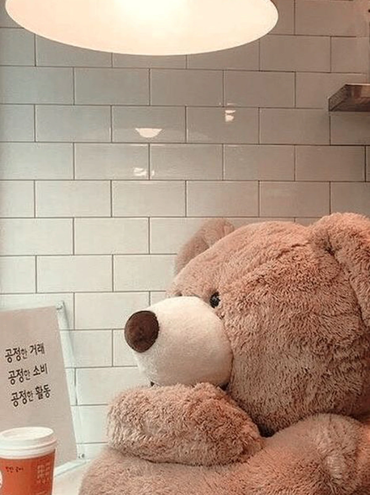 テディベアの壁紙 れらが投稿したフォトブック Lemon8