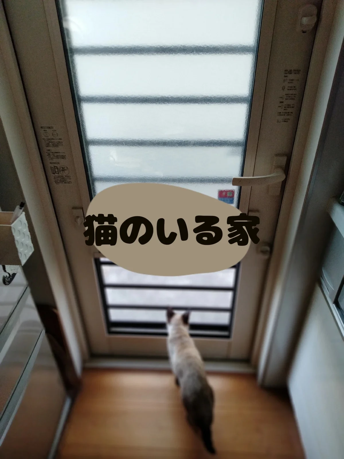 猫ベランダ転倒防止ネット Lemon8