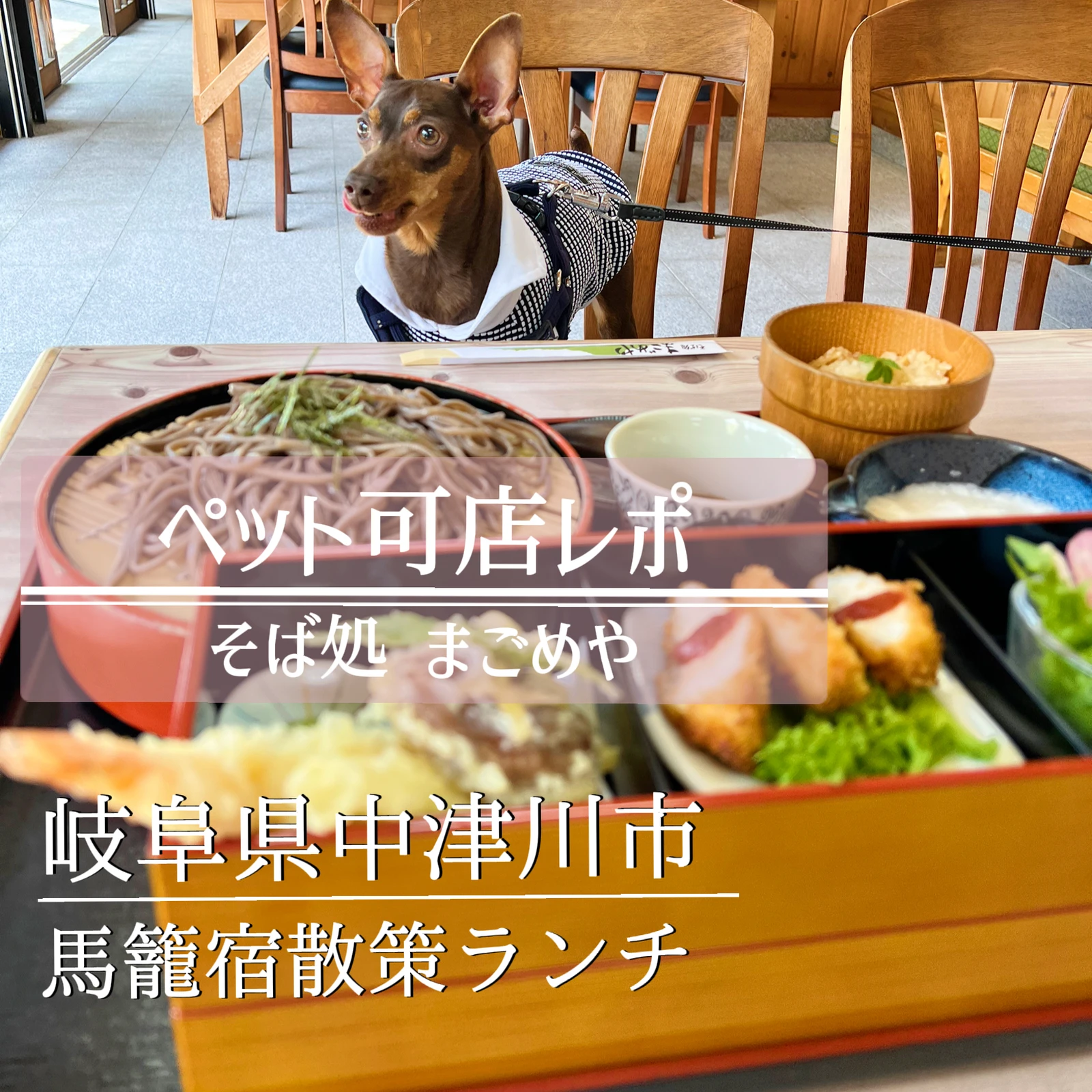 雄大な恵那山を間近に眺めながらゆったりランチ Skip 625が投稿したフォトブック Lemon8