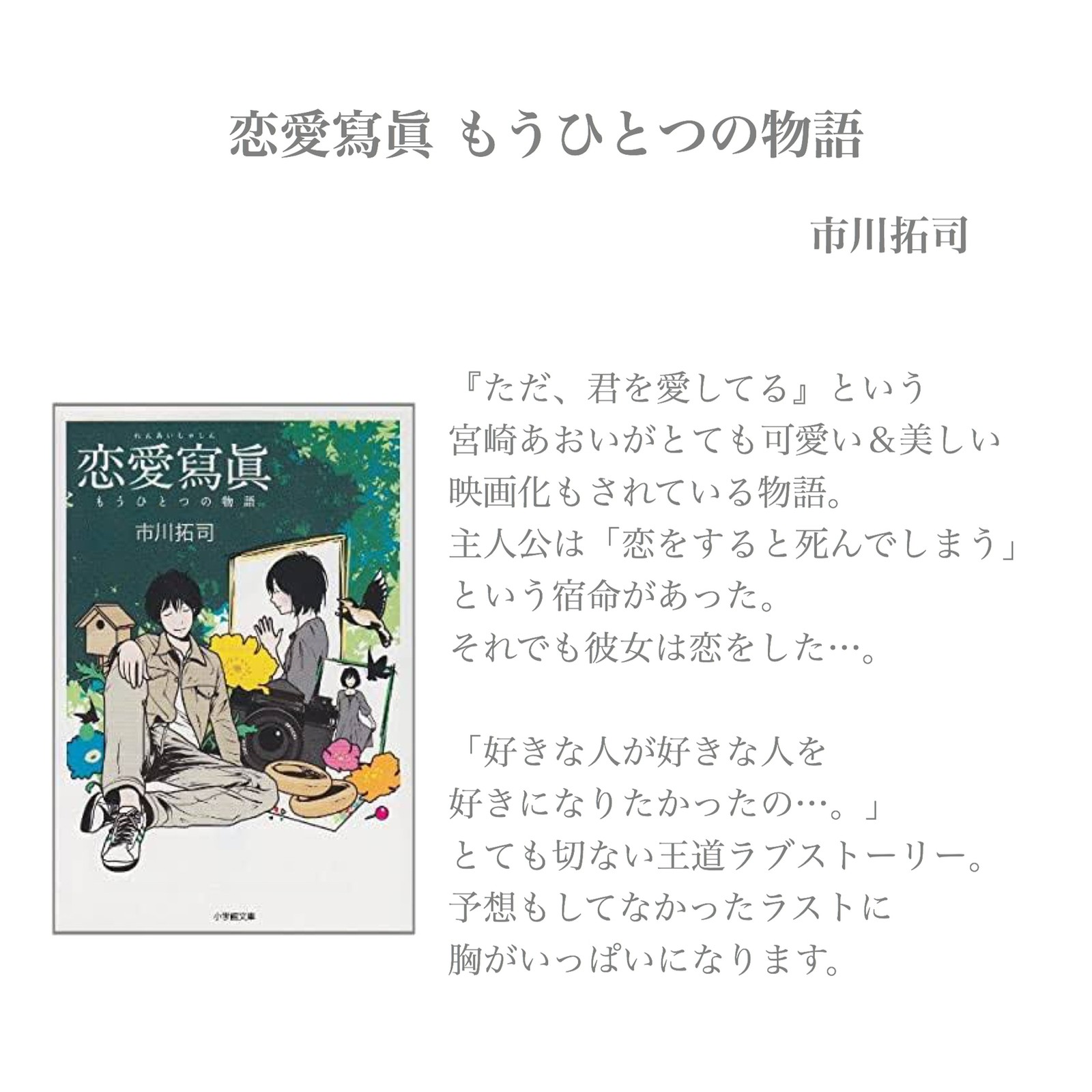 Lemon8 Story 恋愛小説