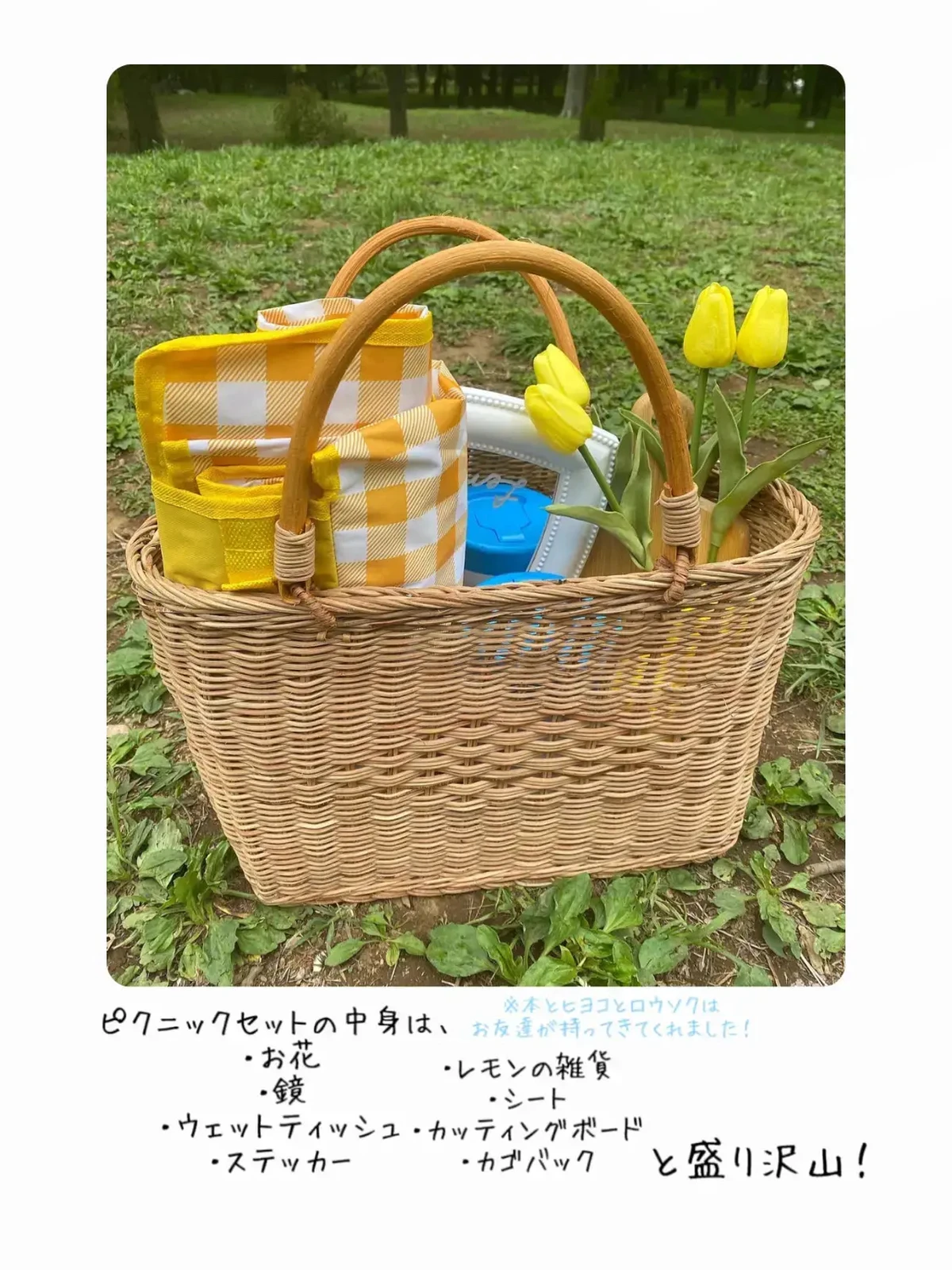 Gw 代々木公園で手ぶらでピクニックしよ ぴょんたが投稿したフォトブック Lemon8