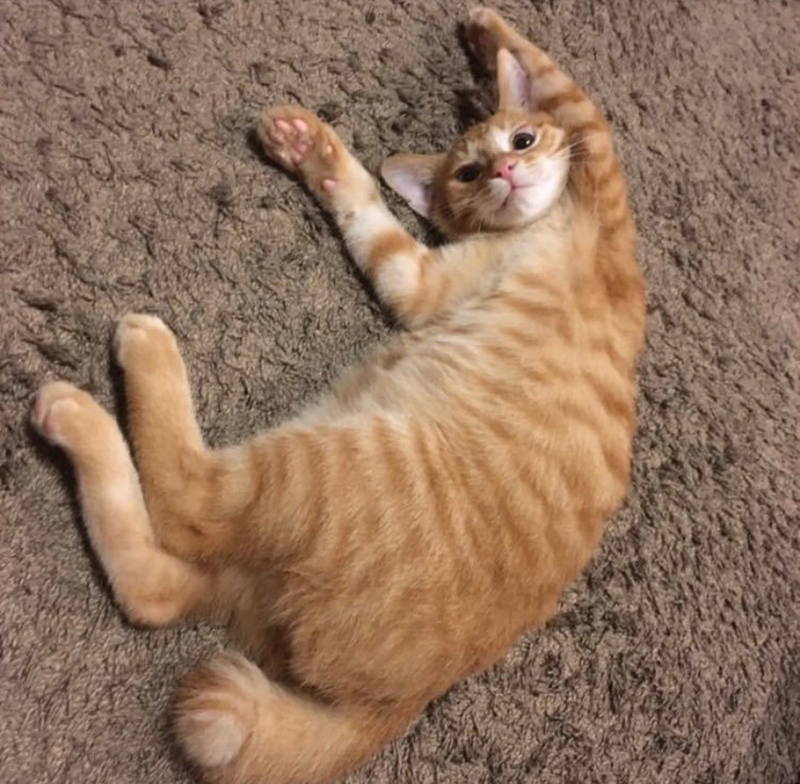 万歳 Ayuasaが投稿したフォトブック Lemon8