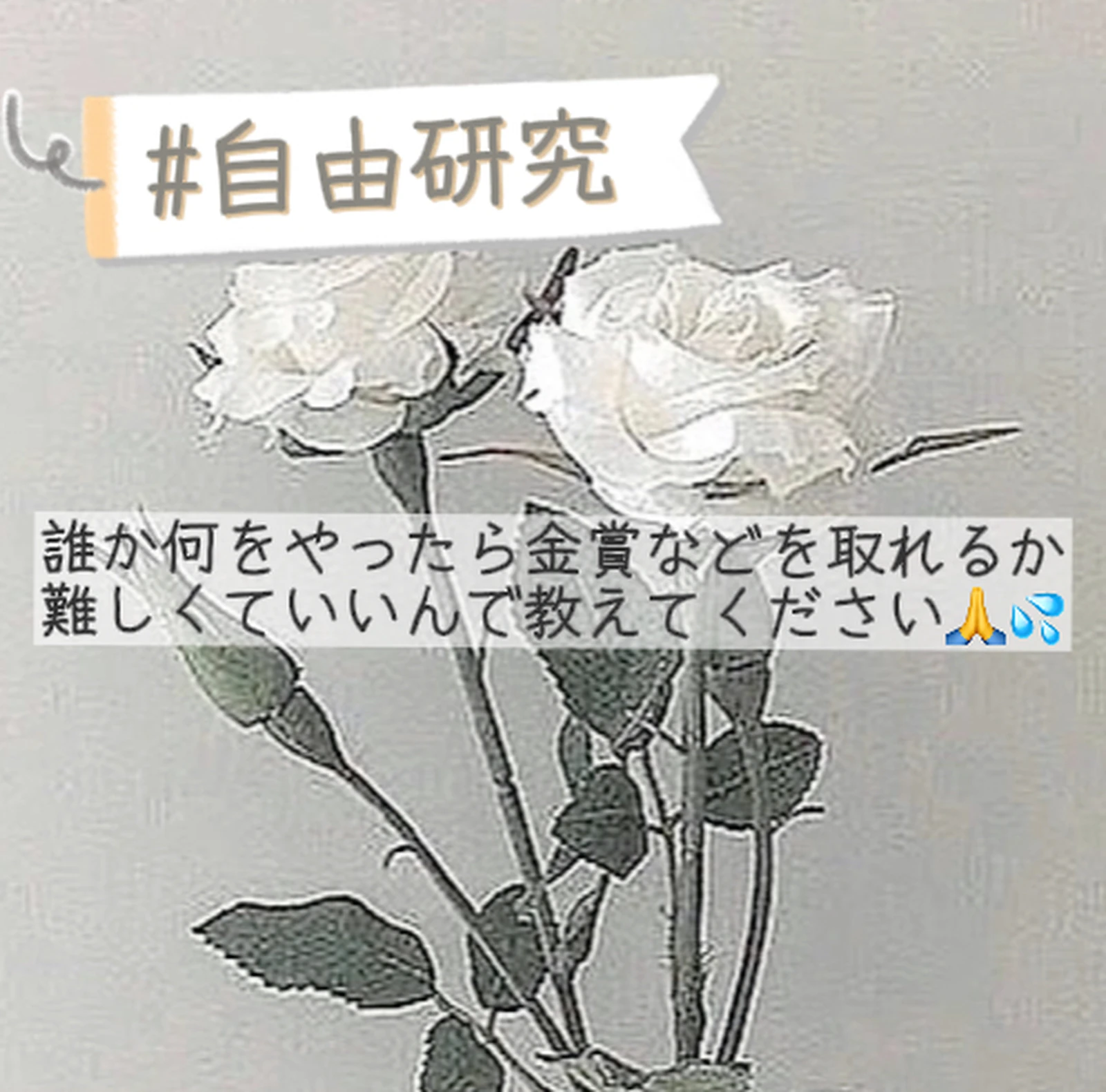 賞が取れるような自由研究 教えてください Koharu が投稿したフォトブック Lemon8