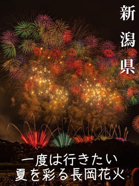 【新潟県】3年振りの開催！！美しすぎる新潟花火