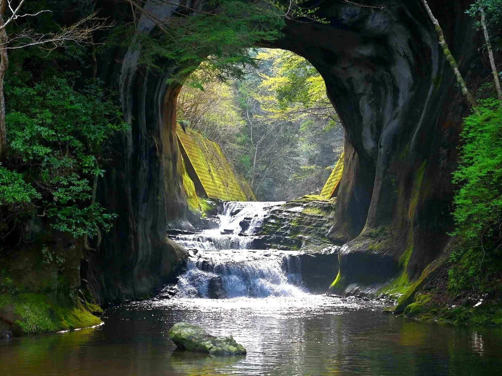 千葉県 亀岩の洞窟 ホタル湿原 Ko Suke Travel が投稿したフォトブック Lemon8