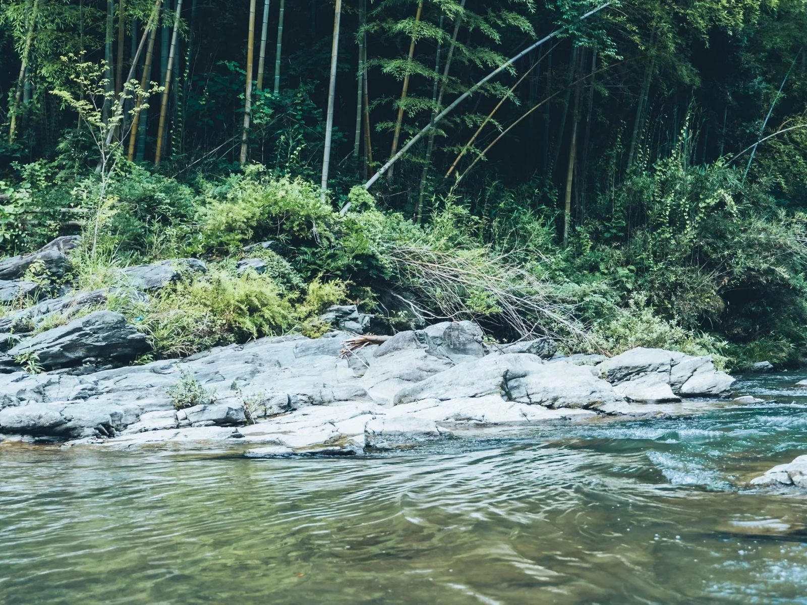 埼玉 自然豊かな渓谷 櫻子 エモ写真旅 北埼玉暮らしが投稿したフォトブック Lemon8