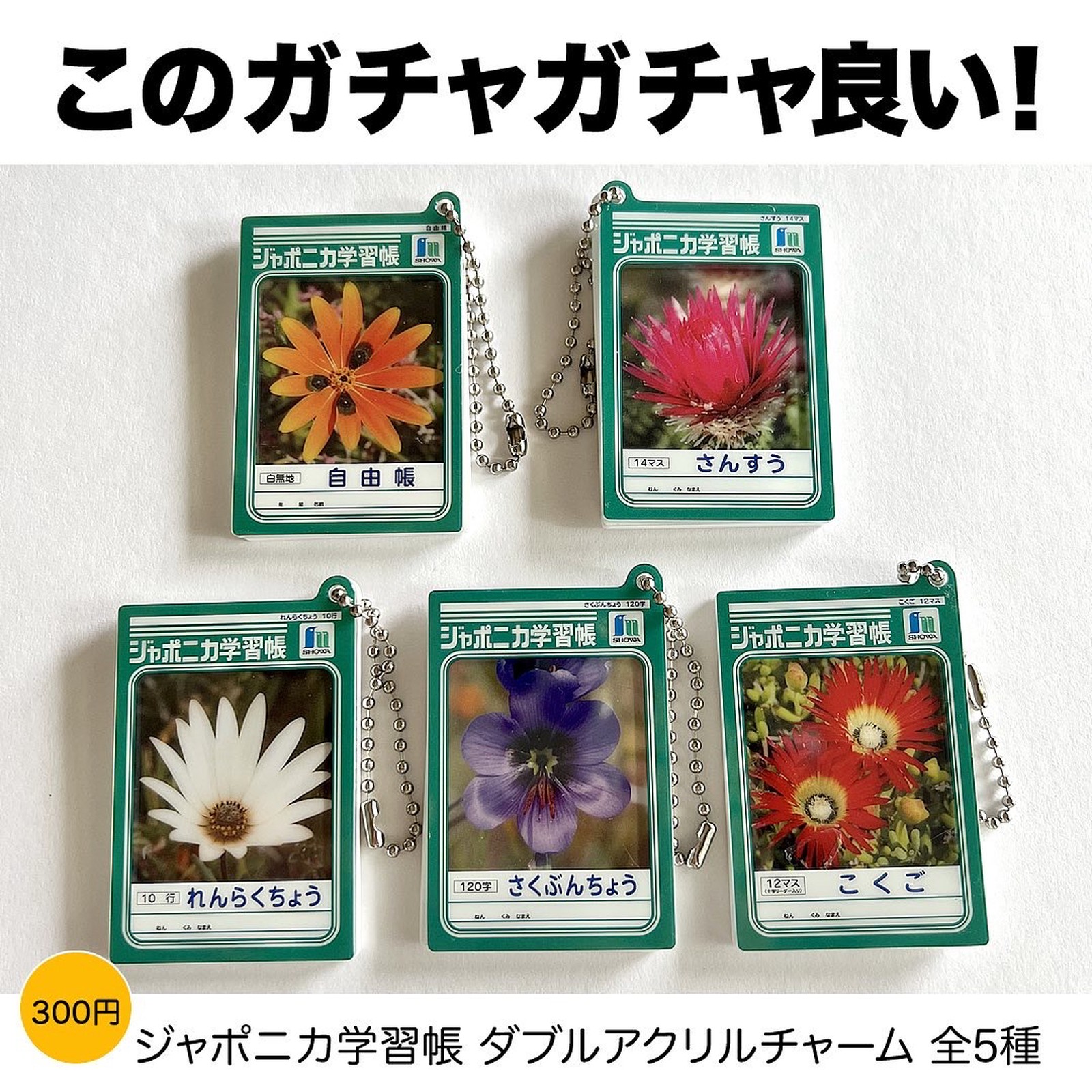 記念日 ジャポニカ学習帳 ダブルアクリルチャーム 全5種セット ガチャ ガシャ コンプリート