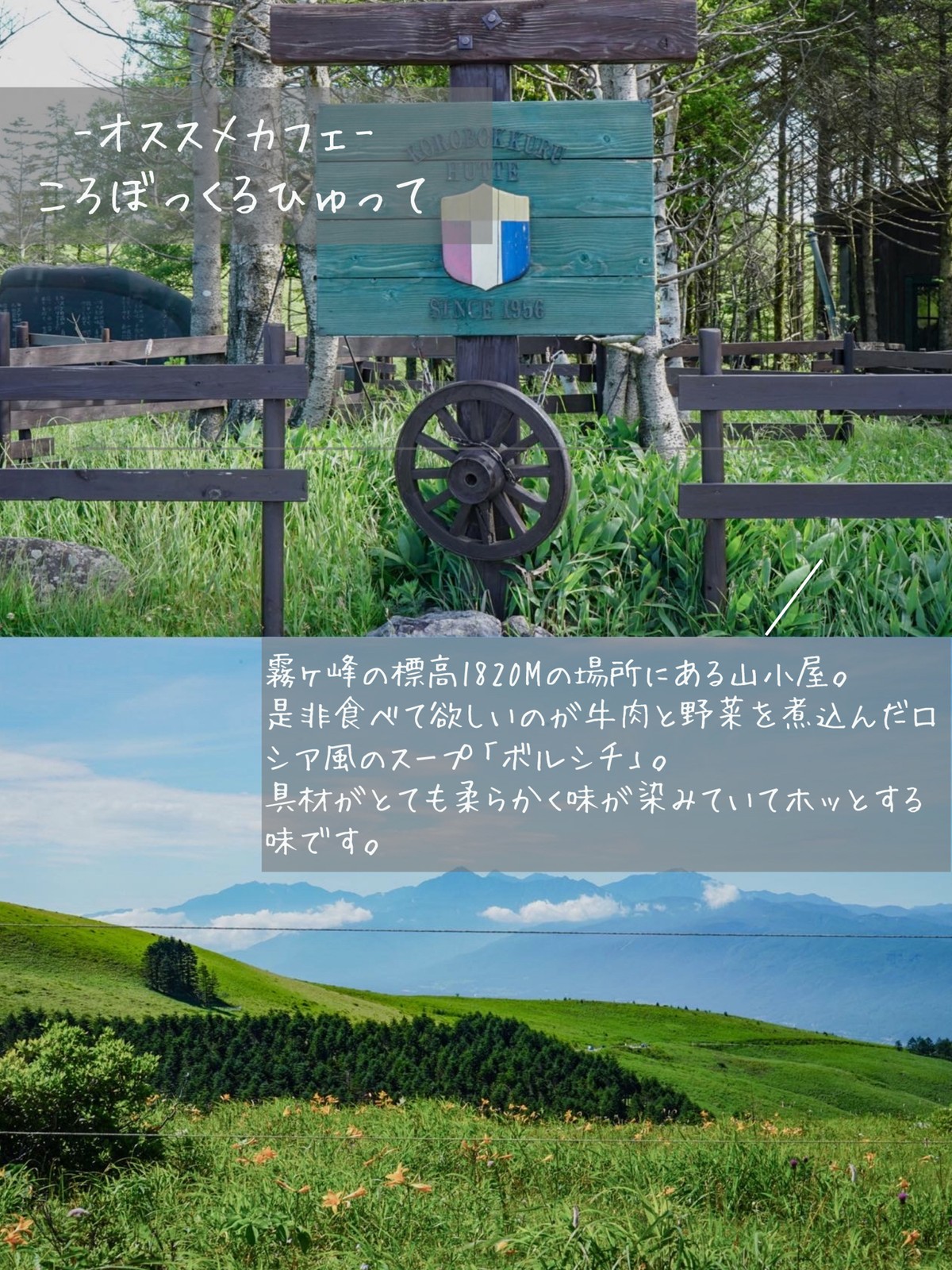 Lemon8 Story ロシア観光