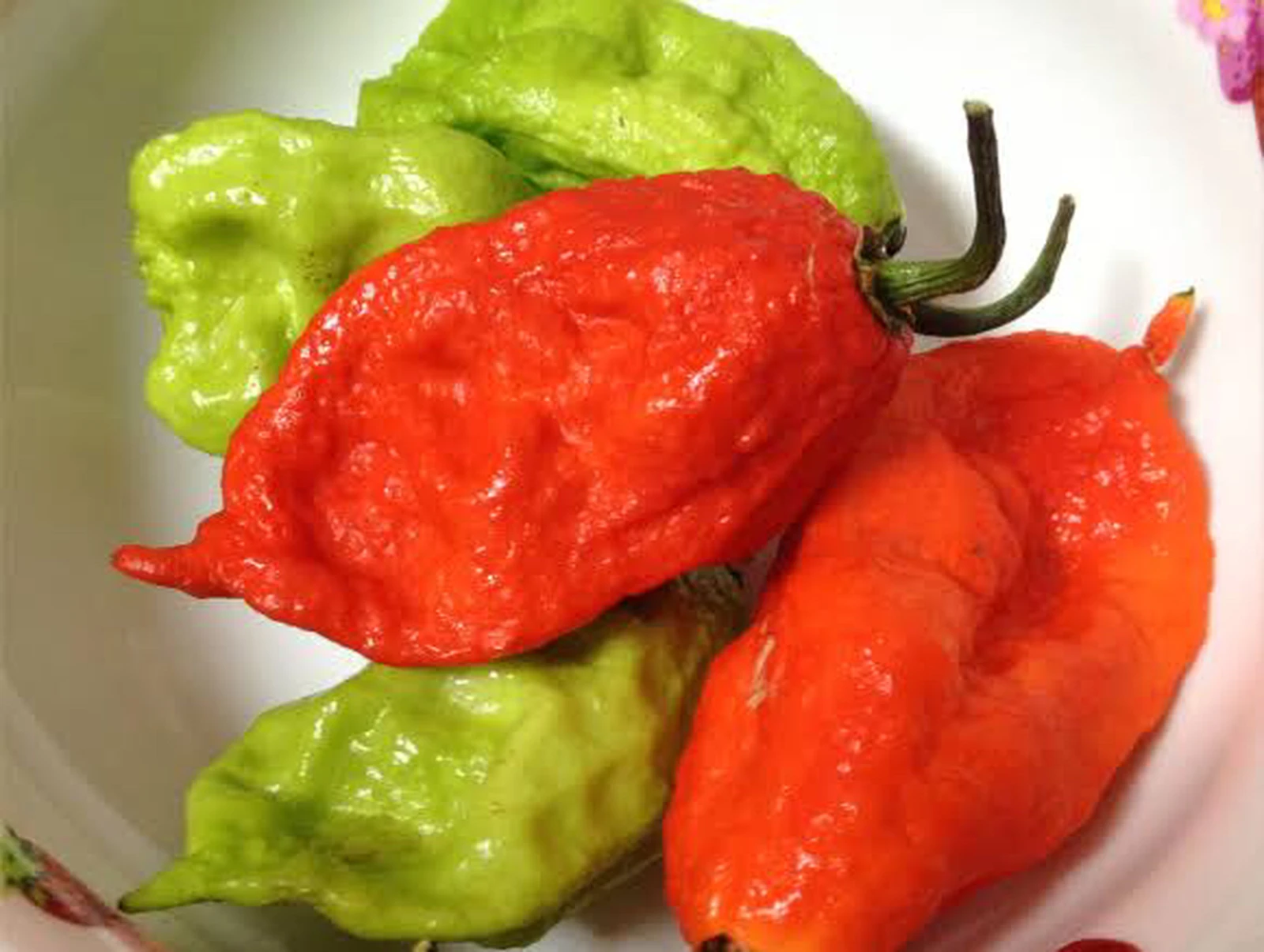 世界一辛い食べ物 Cocomi が投稿したフォトブック Lemon8