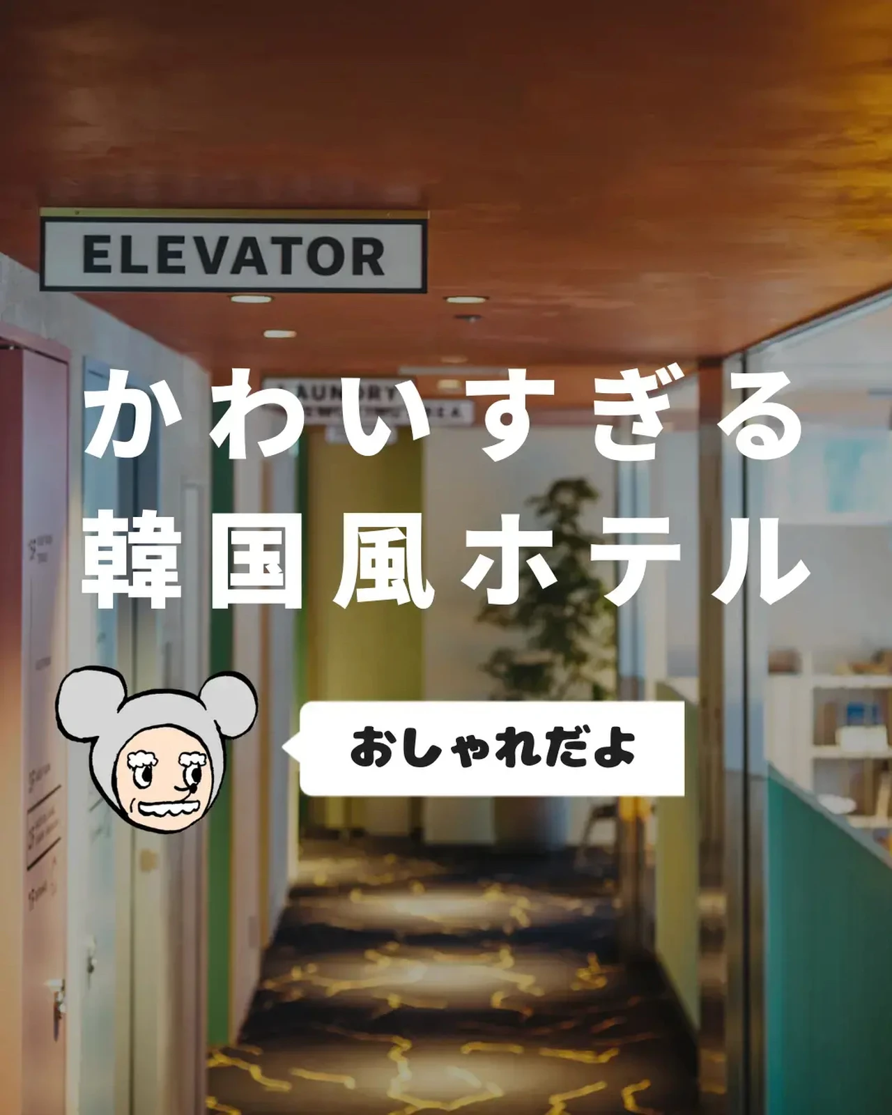 1人3000円台の韓国っぽホテルがとても可愛いから多くの人に知ってほしい りっきーが投稿したフォトブック Lemon8