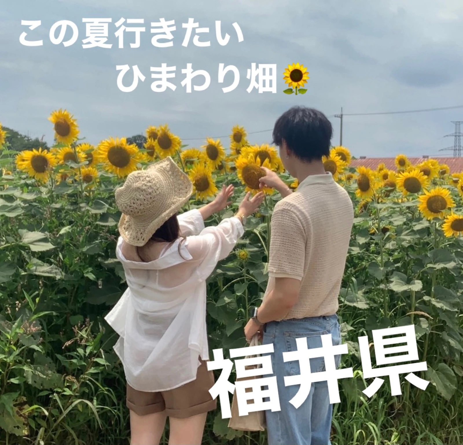 北陸のひまわり畑といえばここで間違いなし Yu Miが投稿したフォトブック Lemon8 北陸のひまわり畑といえばここで間違いなし Yu Miが投稿したフォトブック Lemon8