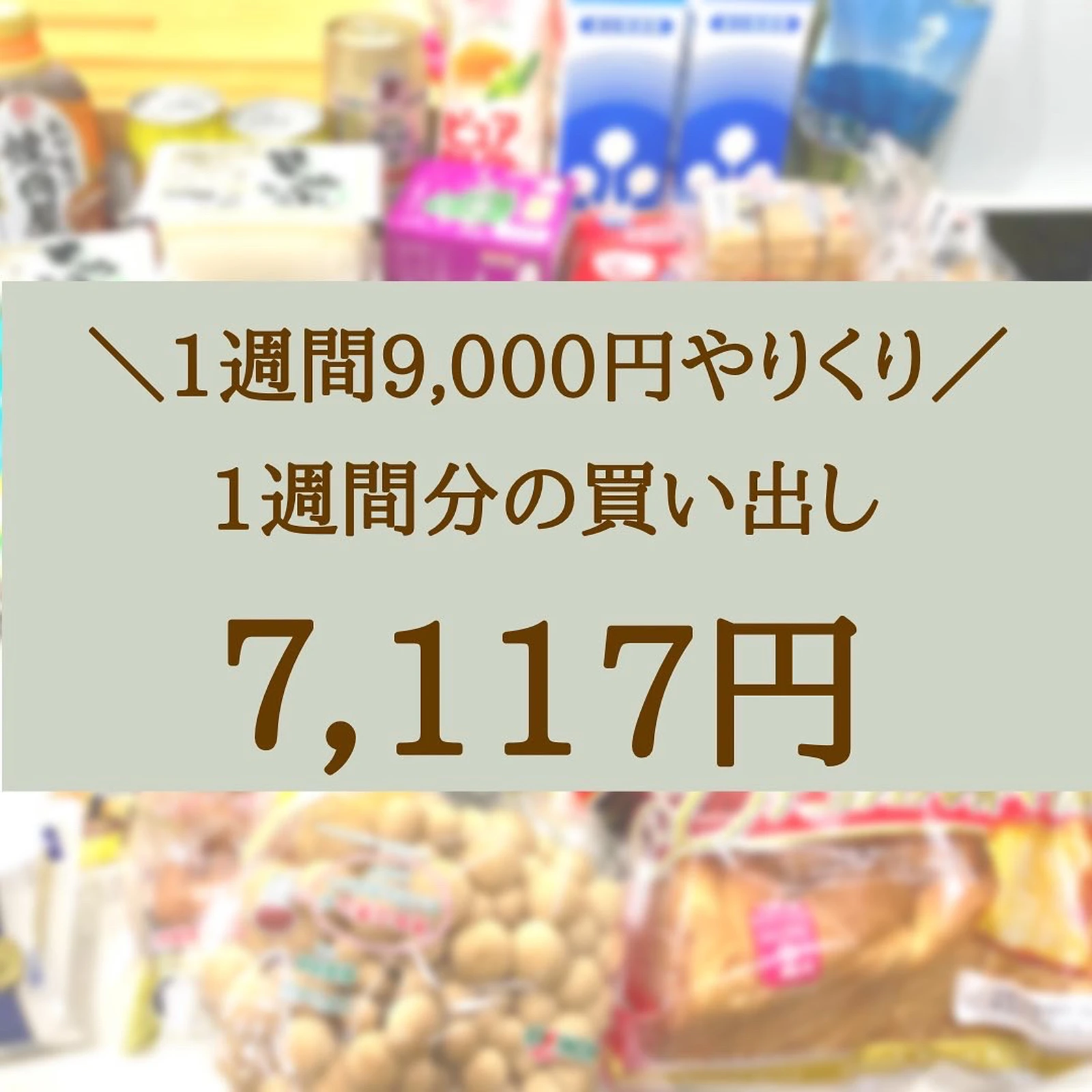 食費 日用品9000円やりくり 今週の買い出し かりこが投稿したフォトブック Lemon8