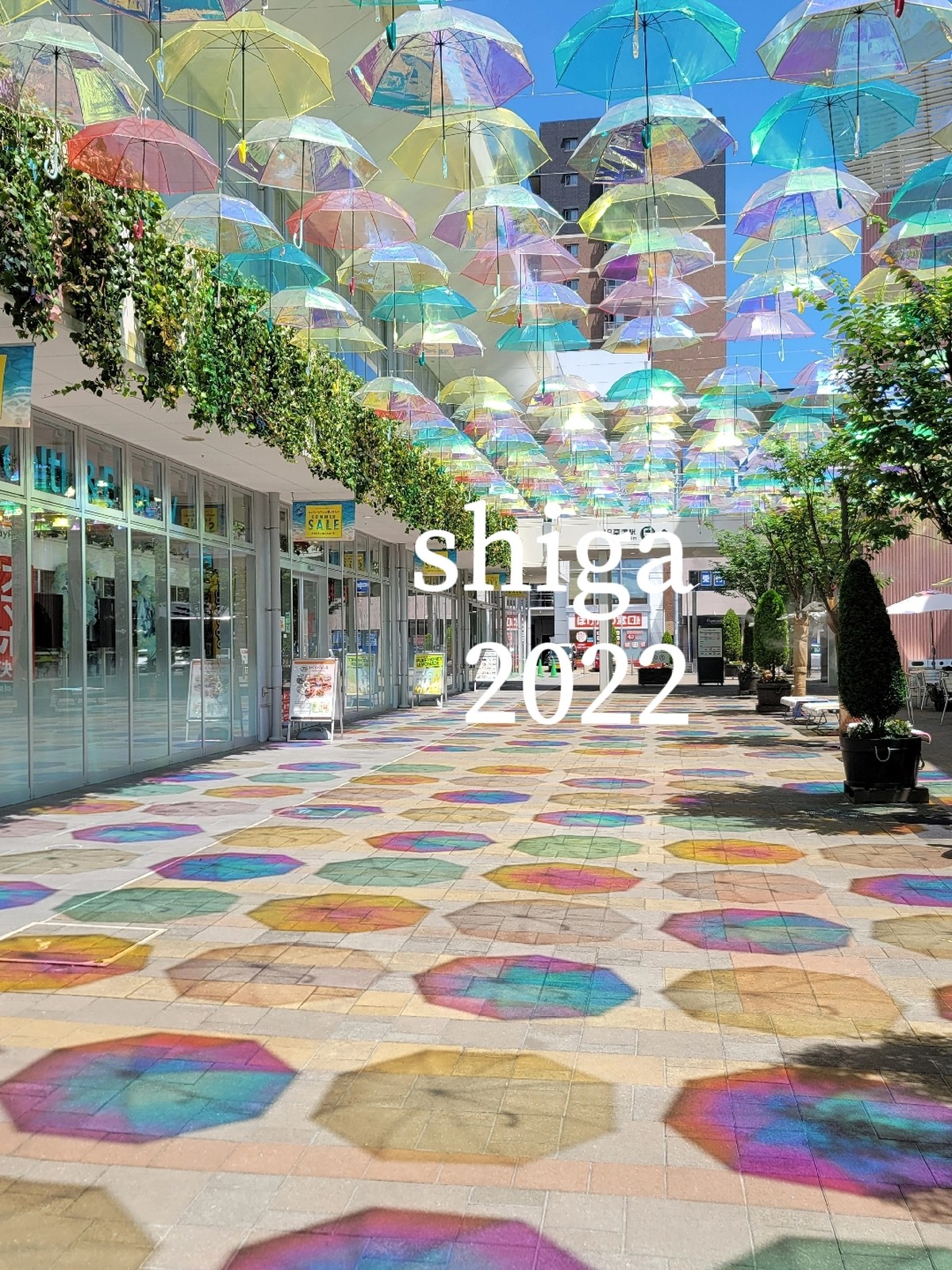 Lemon8 Story アンブレラマーカー セリア