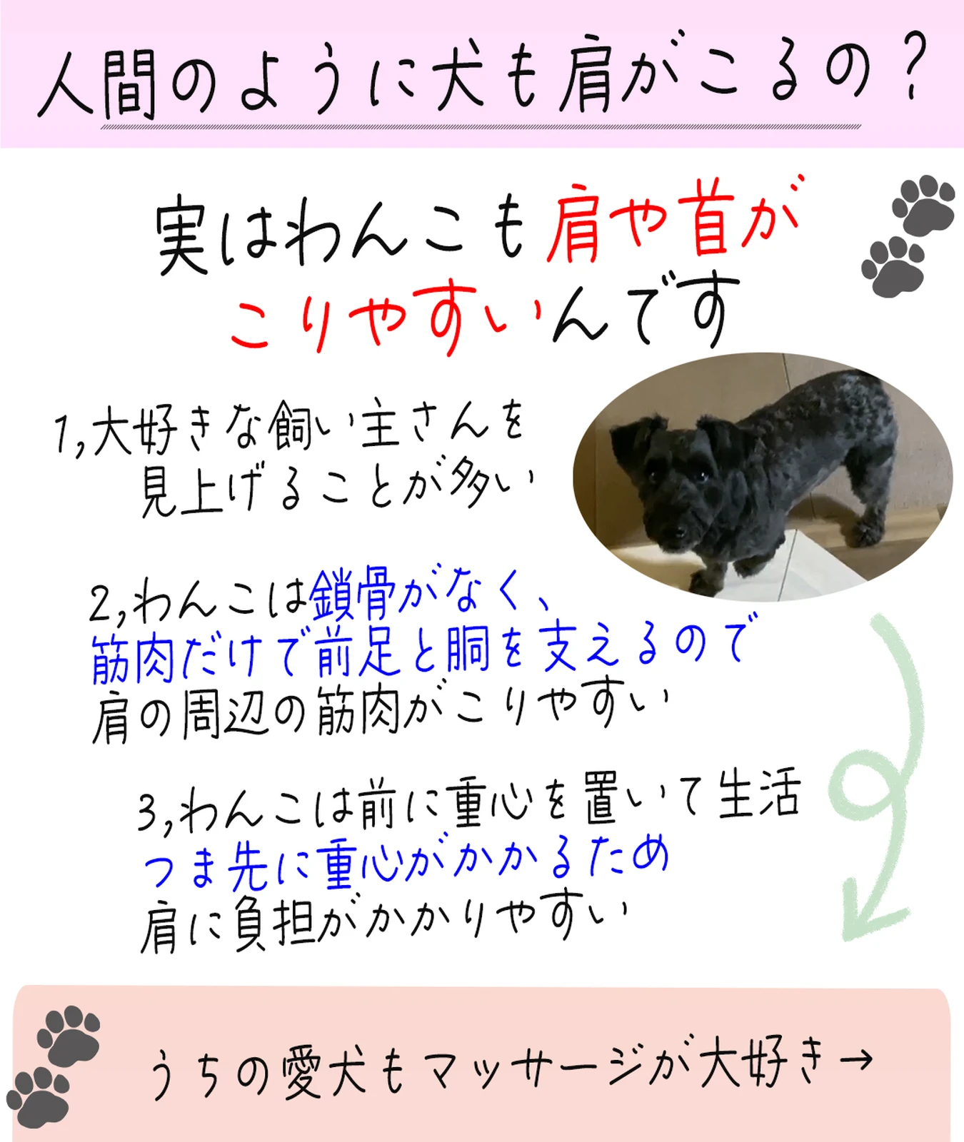 犬も肩がこる 愛犬のマッサージ 犬ラブメディア部が投稿したフォトブック Lemon8