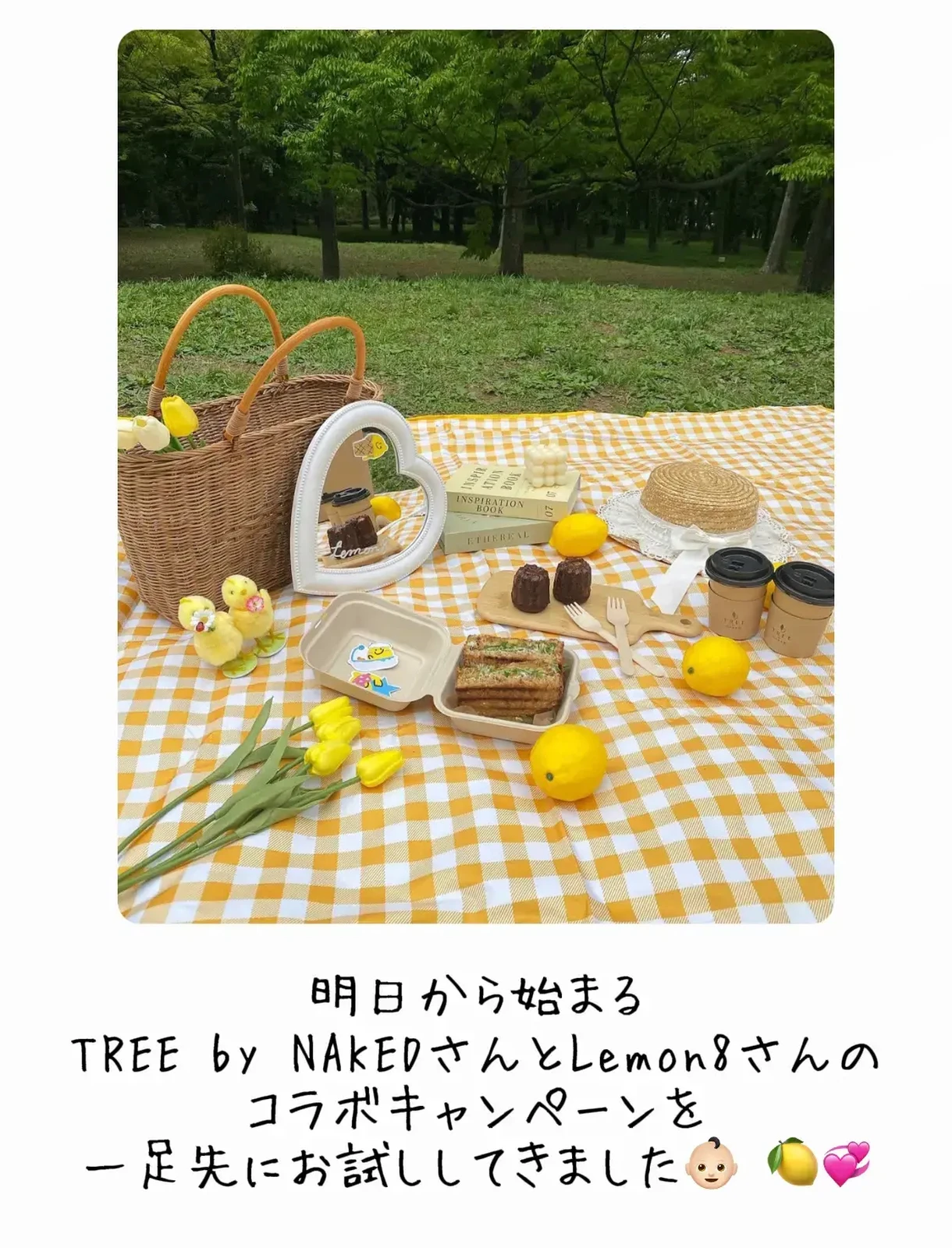 Gw 代々木公園で手ぶらでピクニックしよ ぴょんたが投稿したフォトブック Lemon8