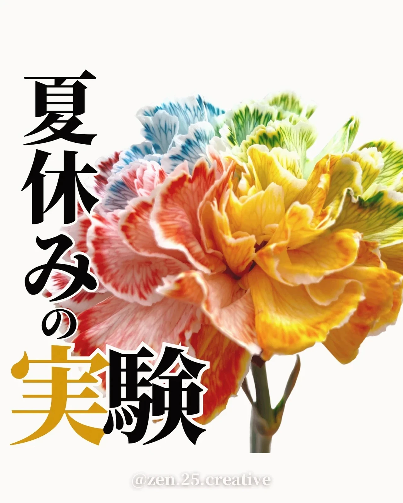 Gyr0d792co0jpm Gyr0d792co0jpm