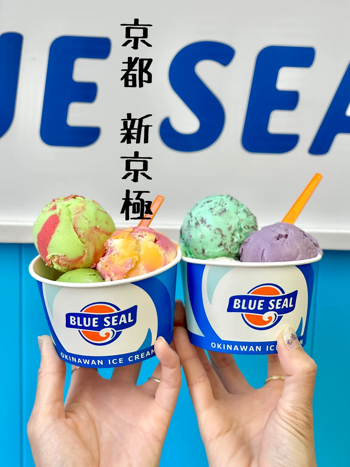 沖縄気分を楽しめる アイスクリーム屋さん Takashiが投稿したフォトブック Lemon8