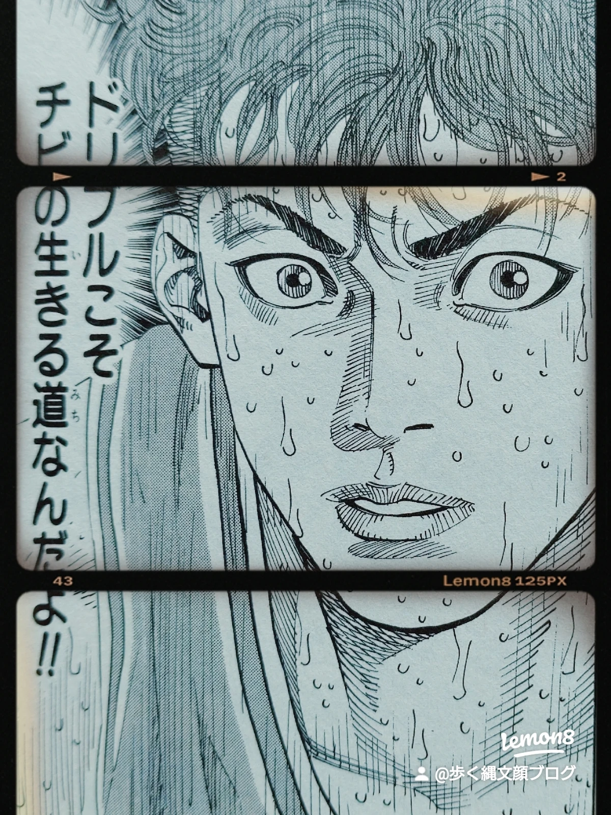 スラムダンク キャラクター紹介 宮城リョータ 歩く縄文顔ブログが投稿したフォトブック Lemon8